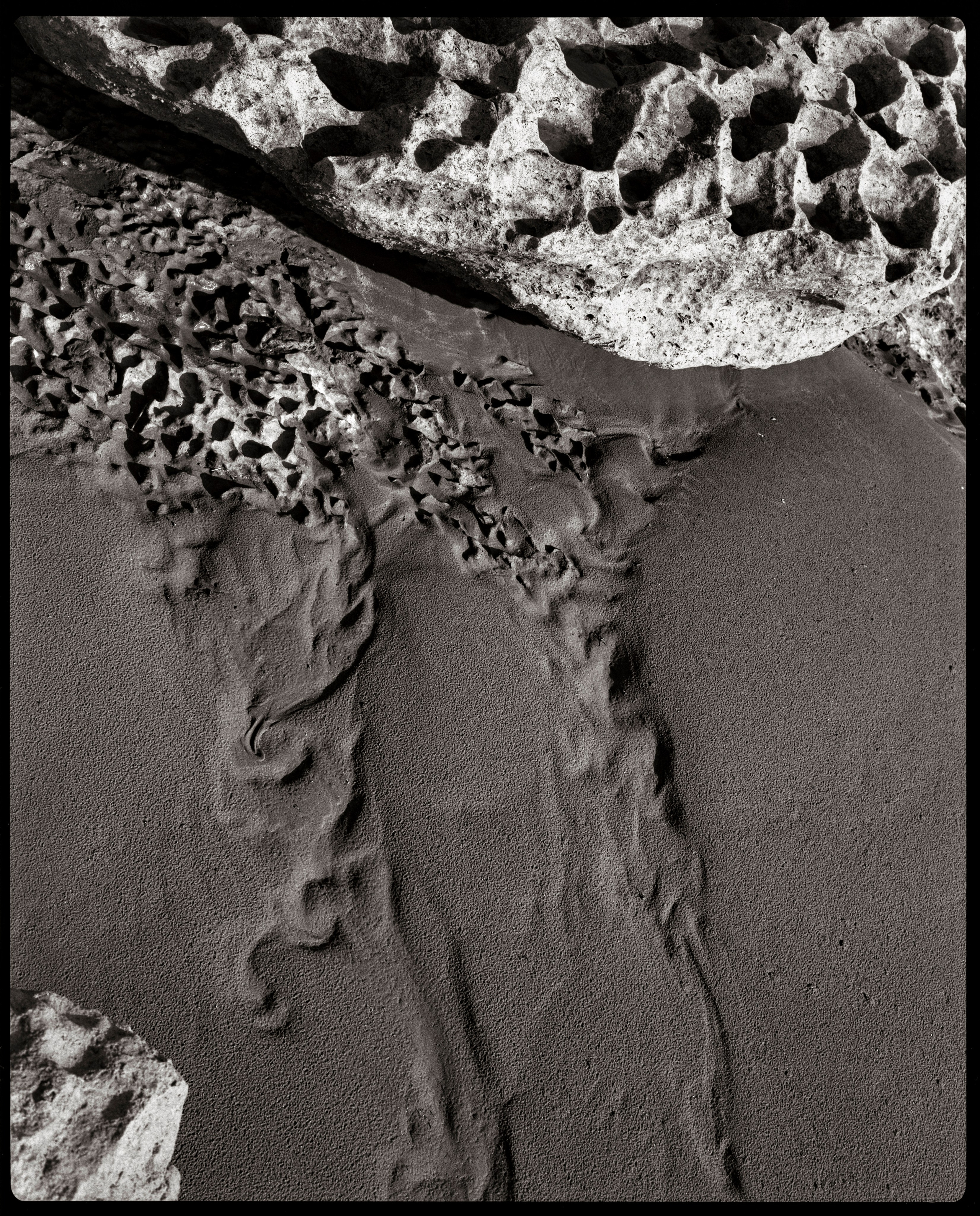 NATURE. Www.sananaleskerov.com