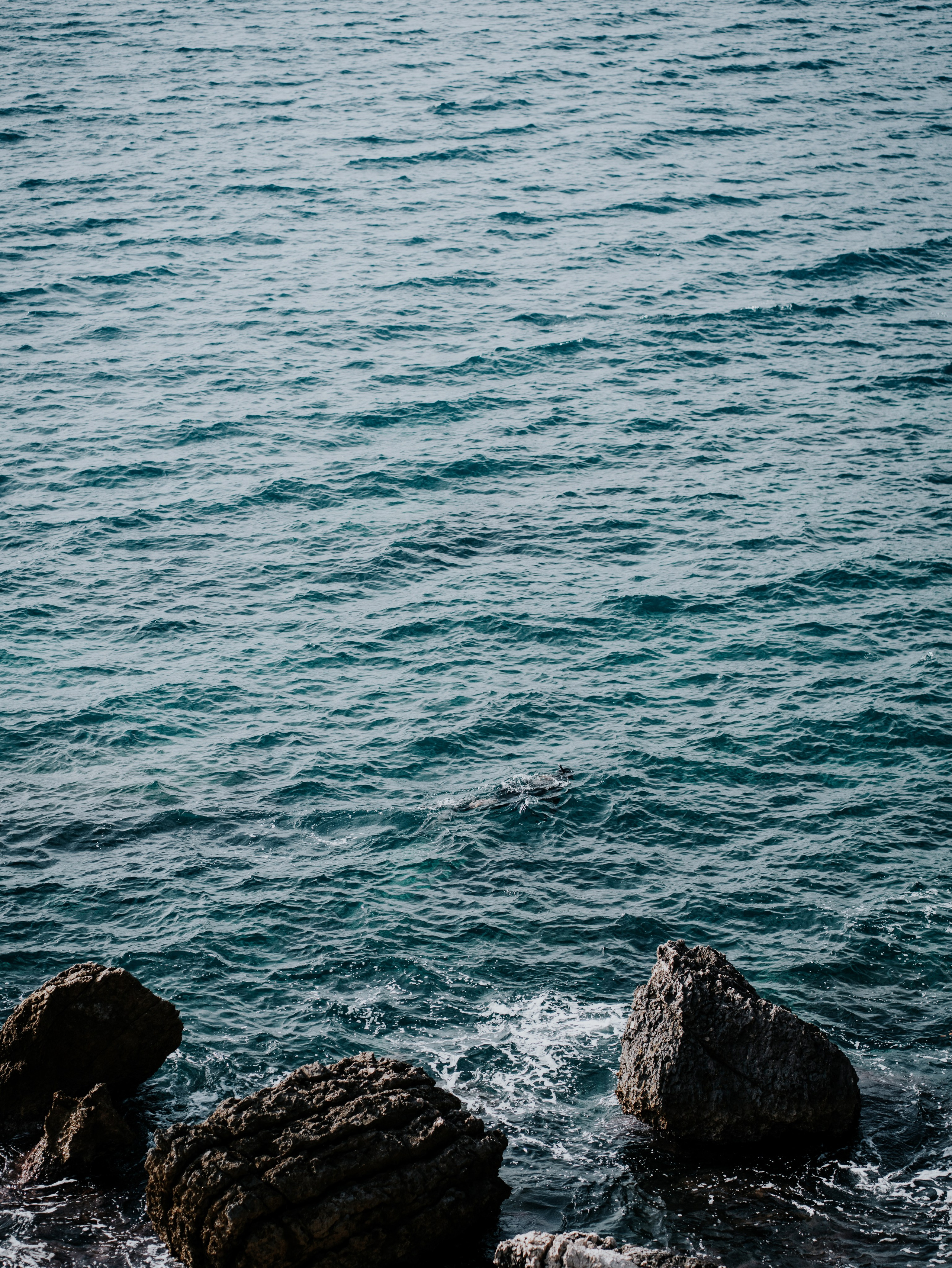 EDGAR. Montenegro photographer and videographer