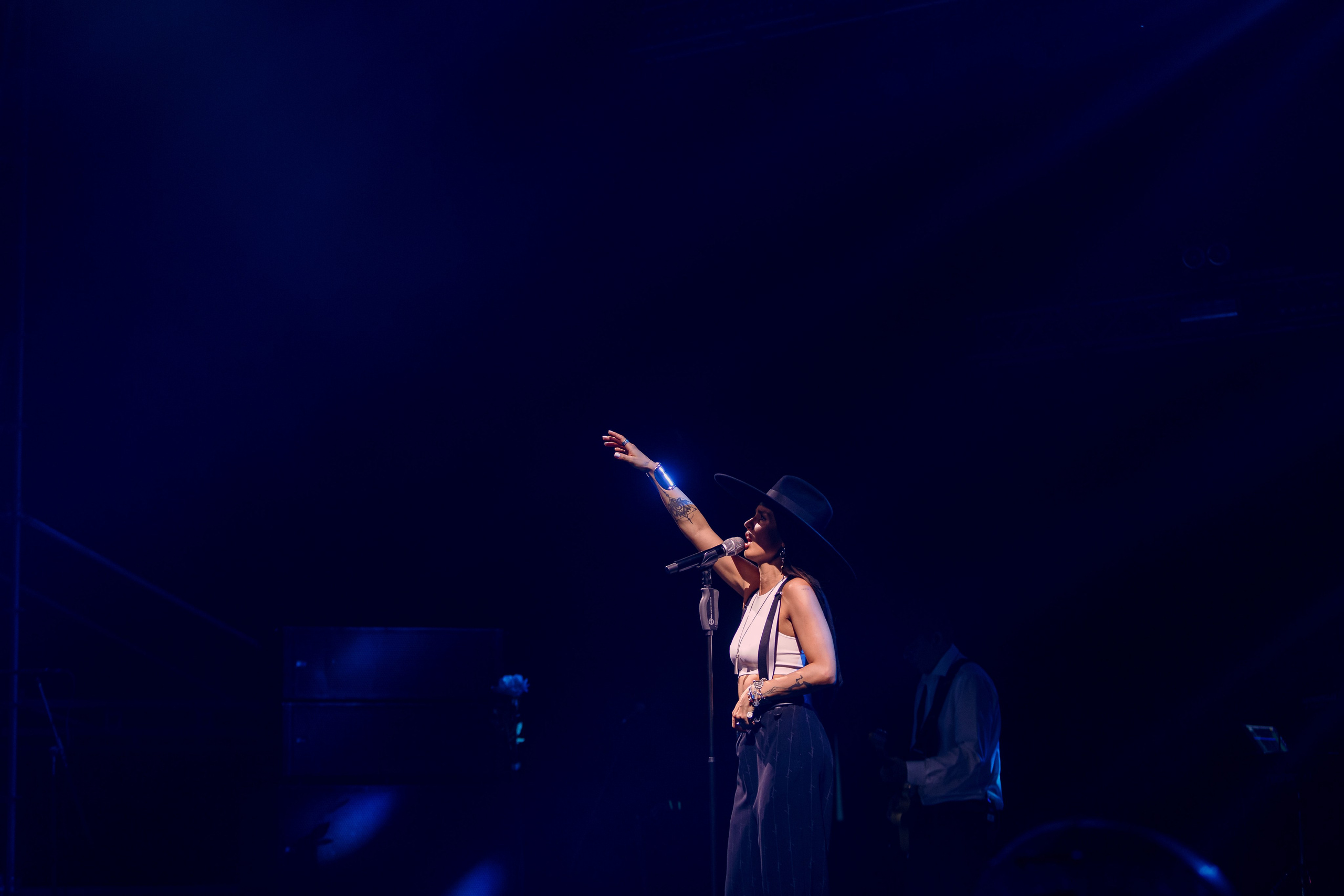 informe del concierto de un cantante famoso