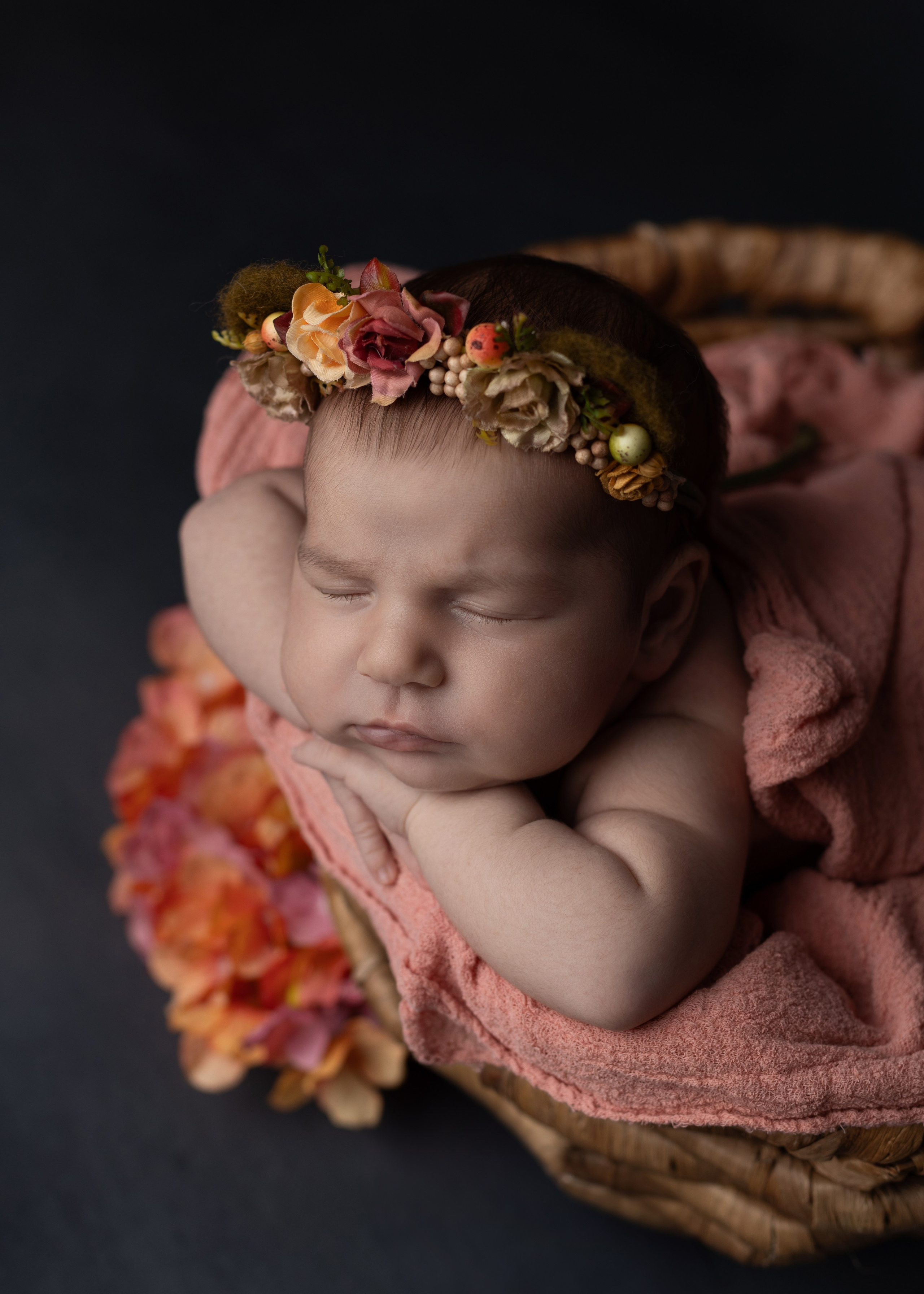 Каталог 17 Newborn. Катерина Шустерман — фотограф Newborn, семейный в Израиле