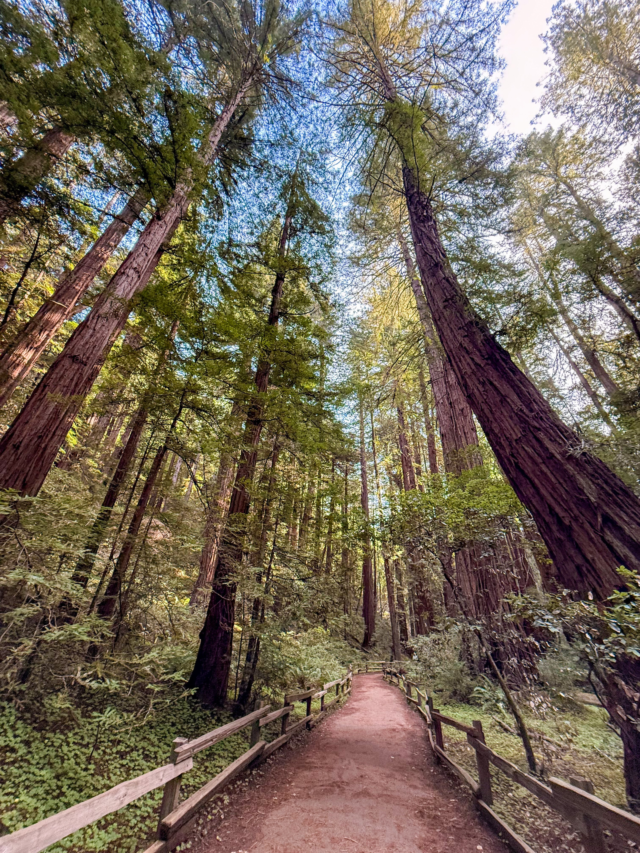 San Francisco. Aleks.photo | Book a photoshoot