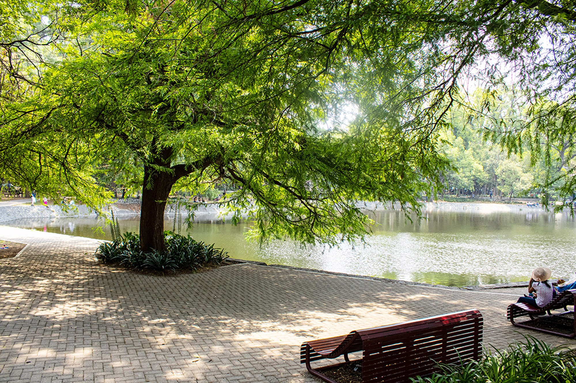 Animales y Naturaleza. Marisol Murillo Fotógrafa profesional en Chimalhuacán, Edo. de México