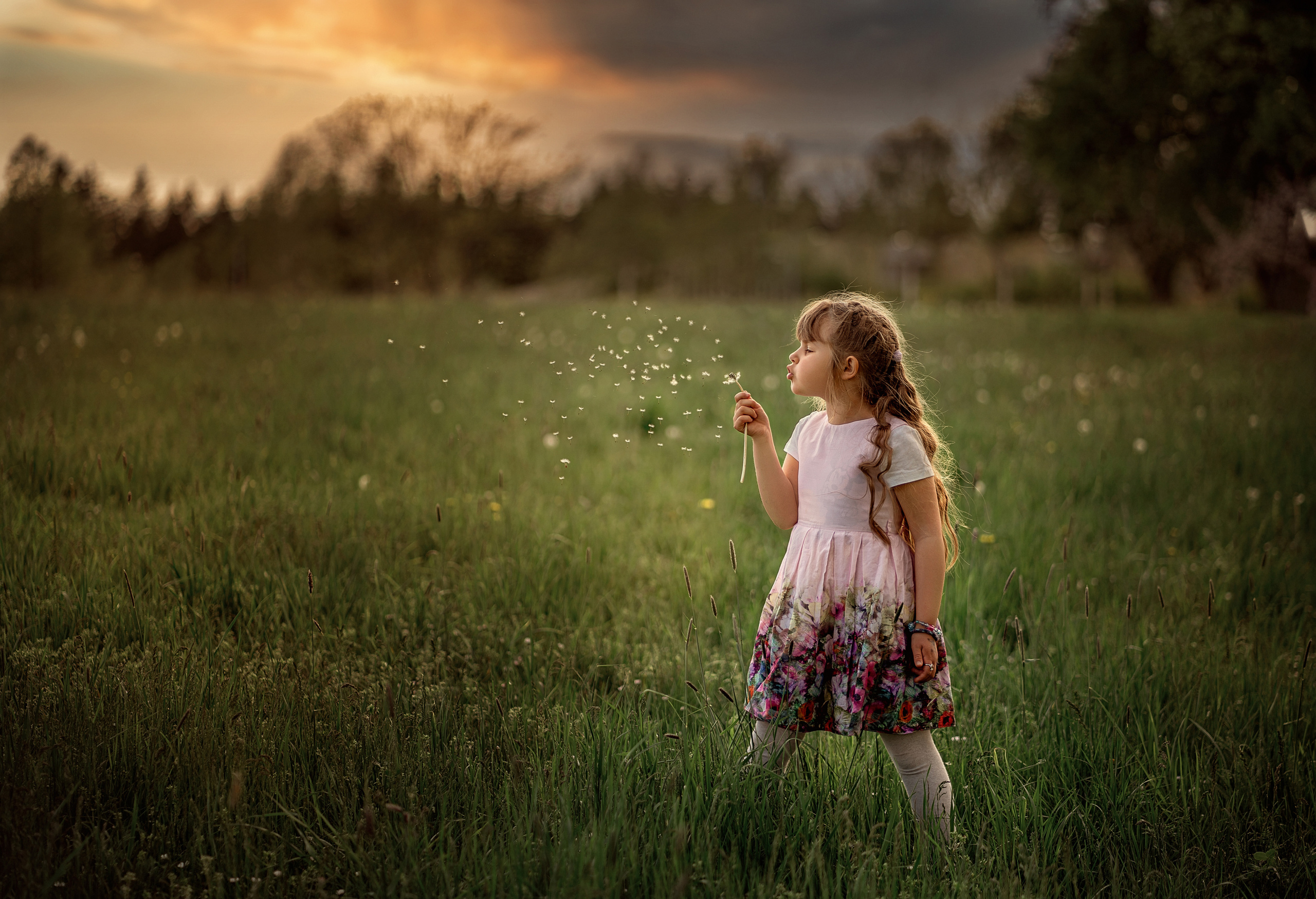 Fotograf aus Künzelsau. Kinder- und Familienfoto-Sessions