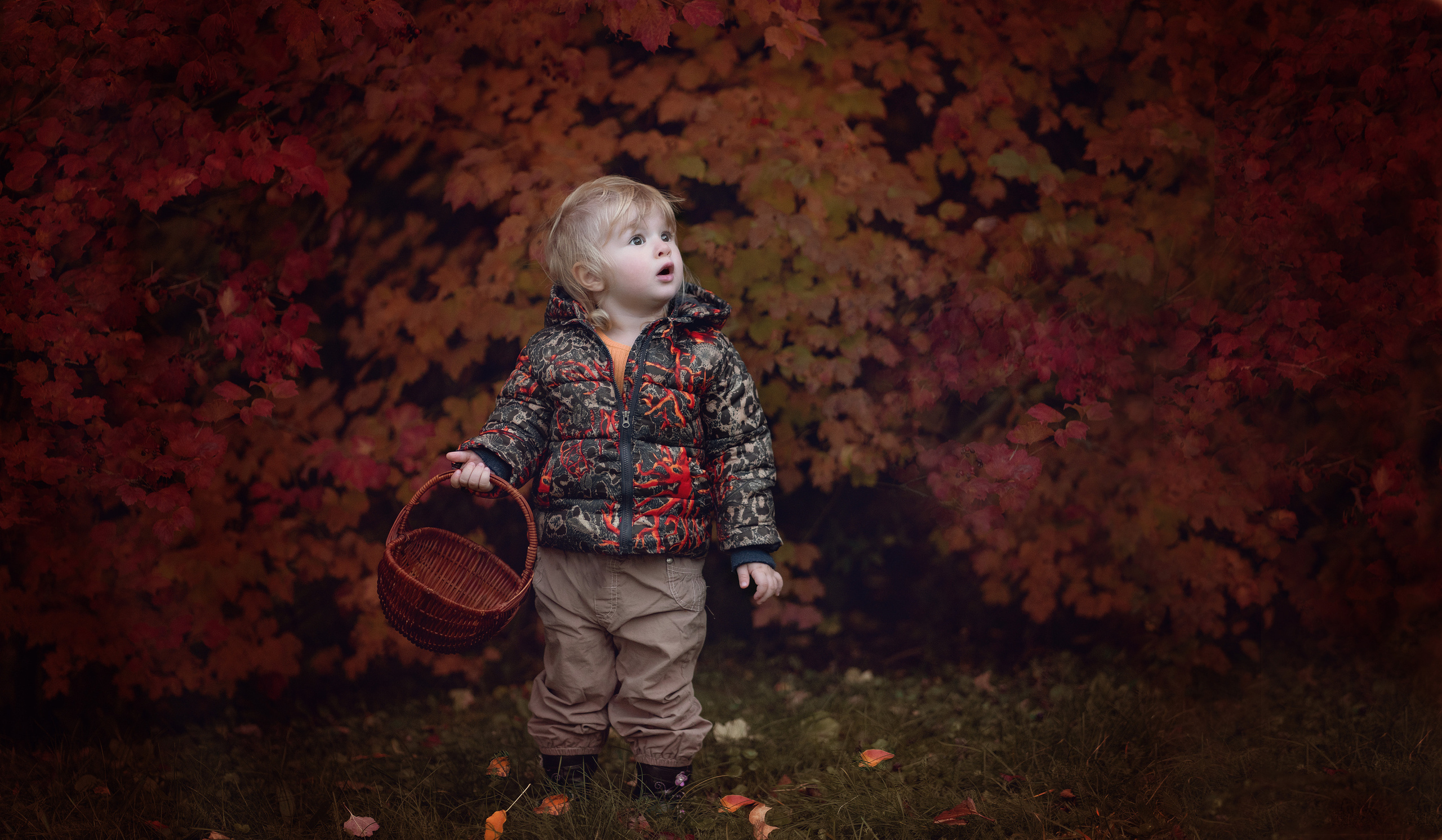 Fotograf aus Künzelsau. Kinder- und Familienfoto-Sessions