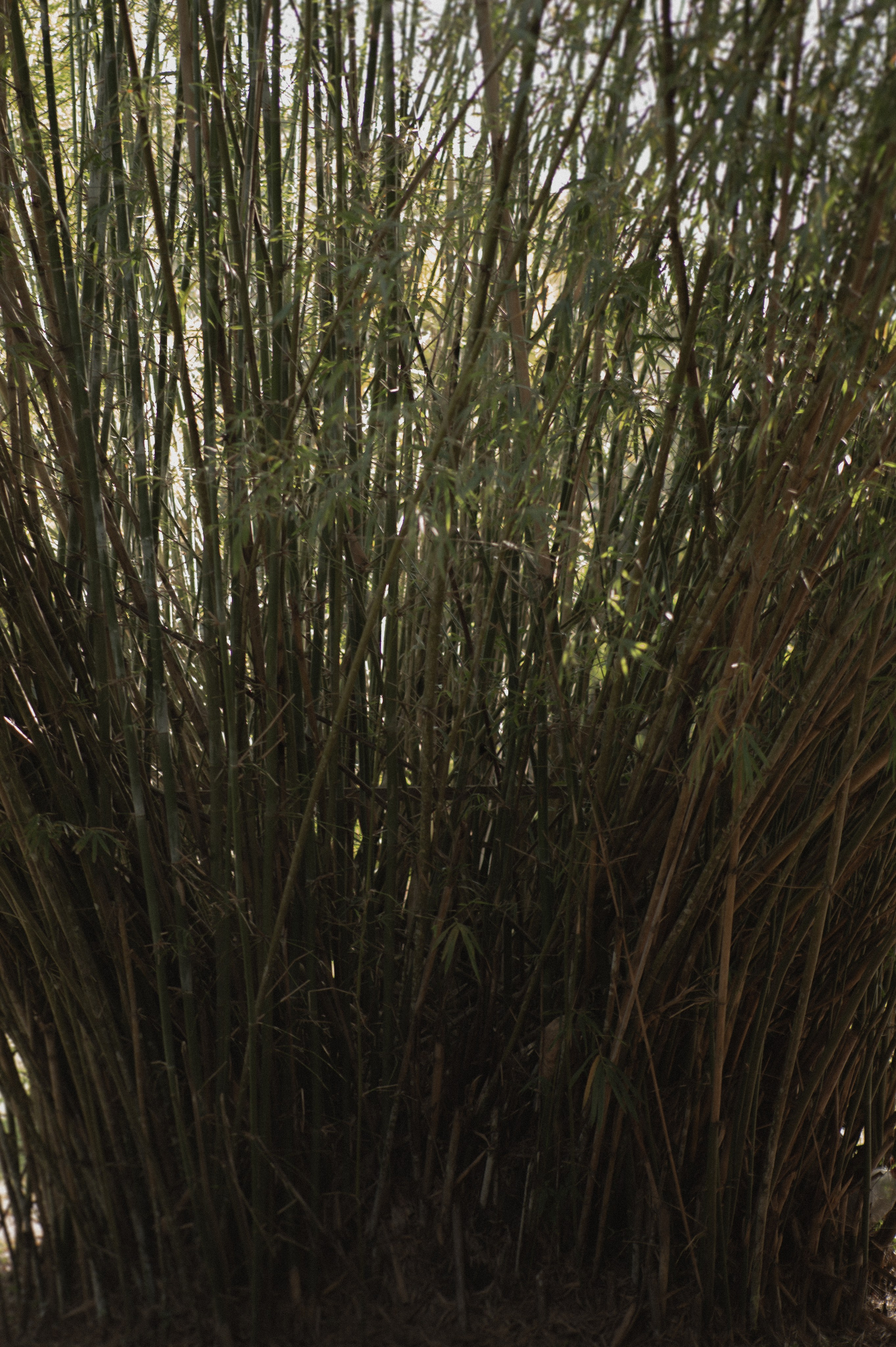 Isabella & Arthur | Vila Velha-ES. Lembrar não é só ver. É sentir de novo