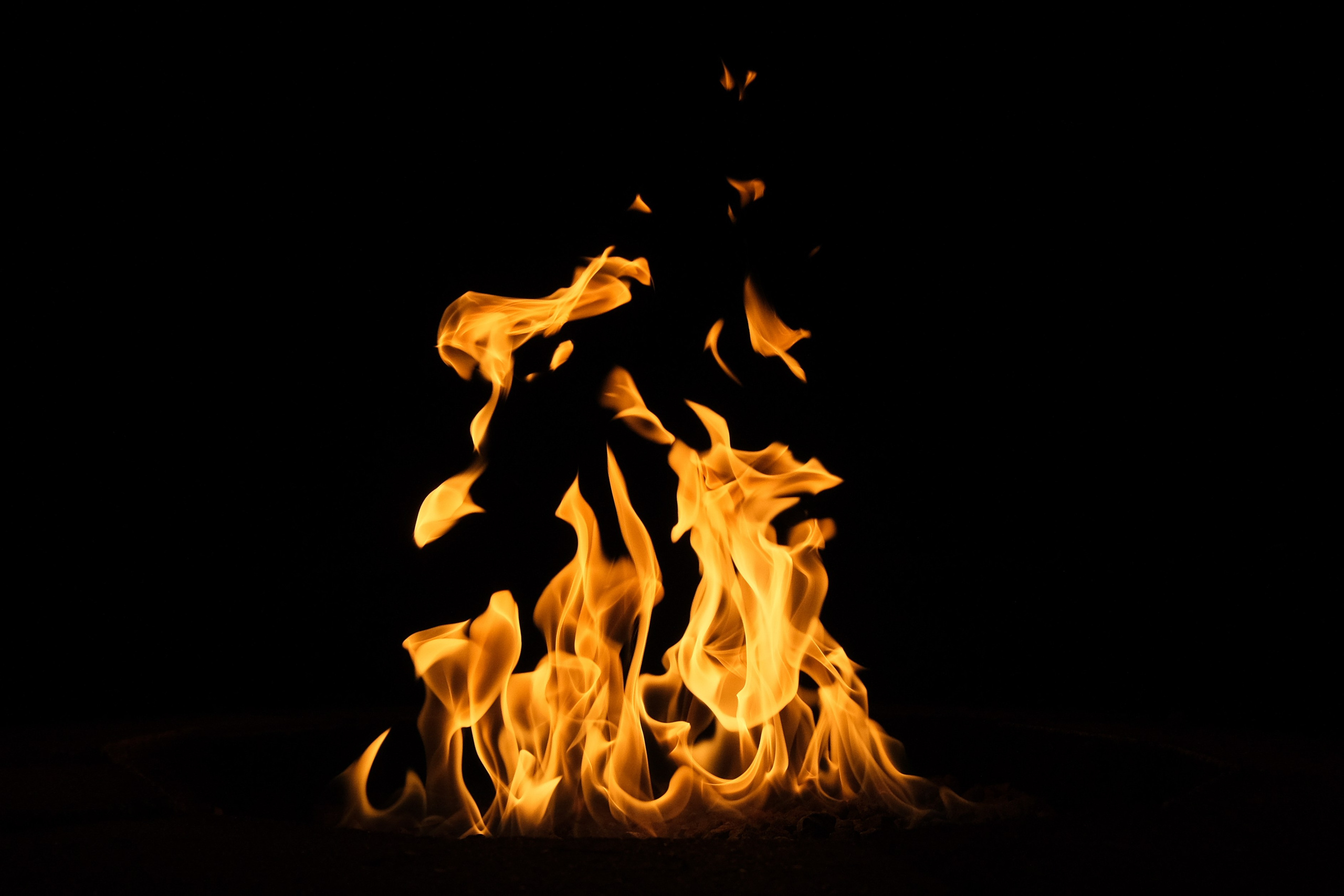 VATRA. Reportage concert portrait photography in the San Francisco Bay Area