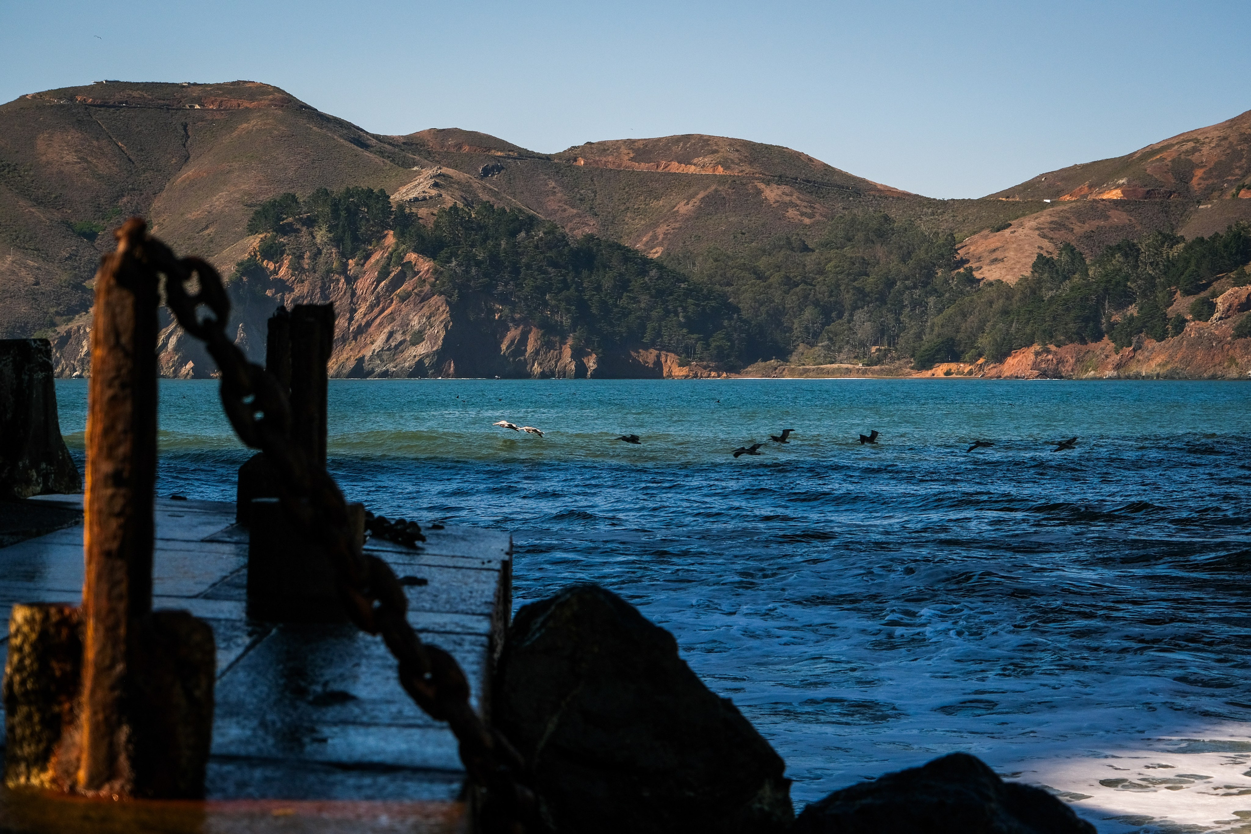 SAN FRANCISCO. Reportage concert portrait photography in the San Francisco Bay Area