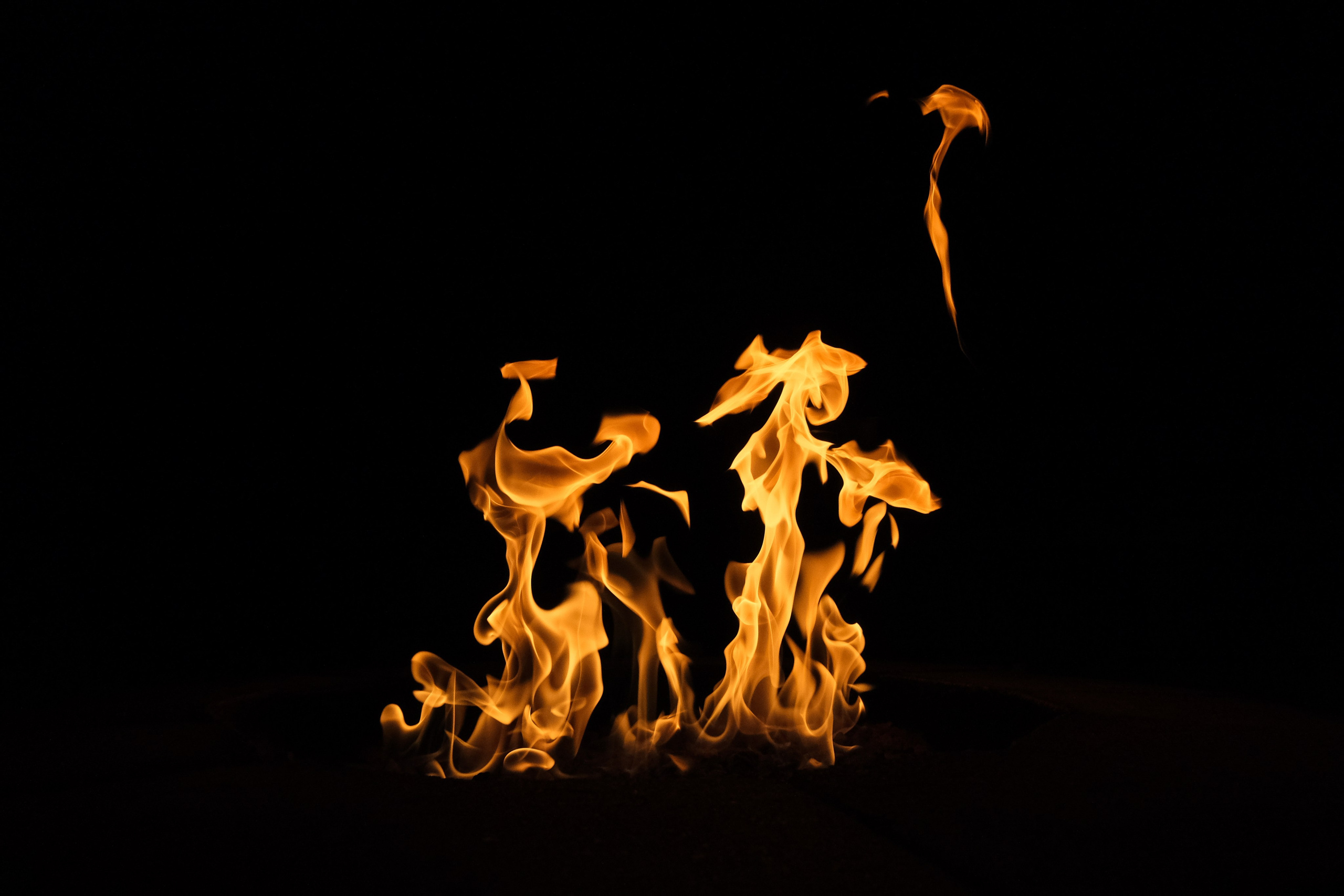 VATRA. Reportage concert portrait photography in the San Francisco Bay Area