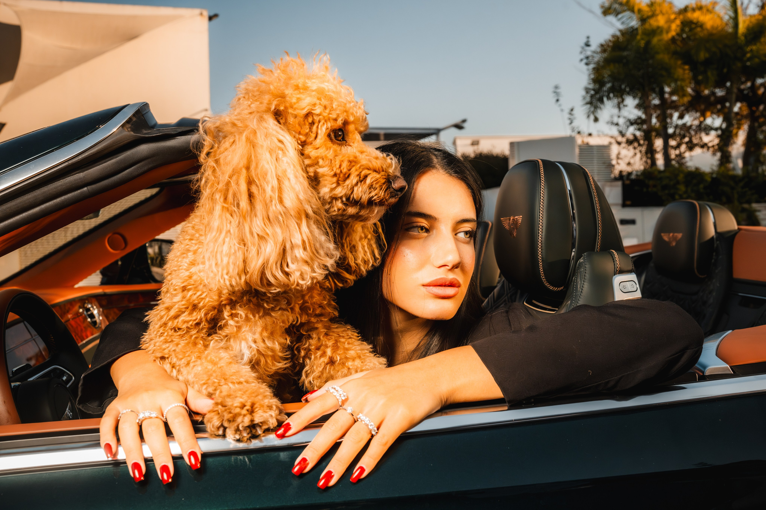 FASHION. YONATAN KATZ