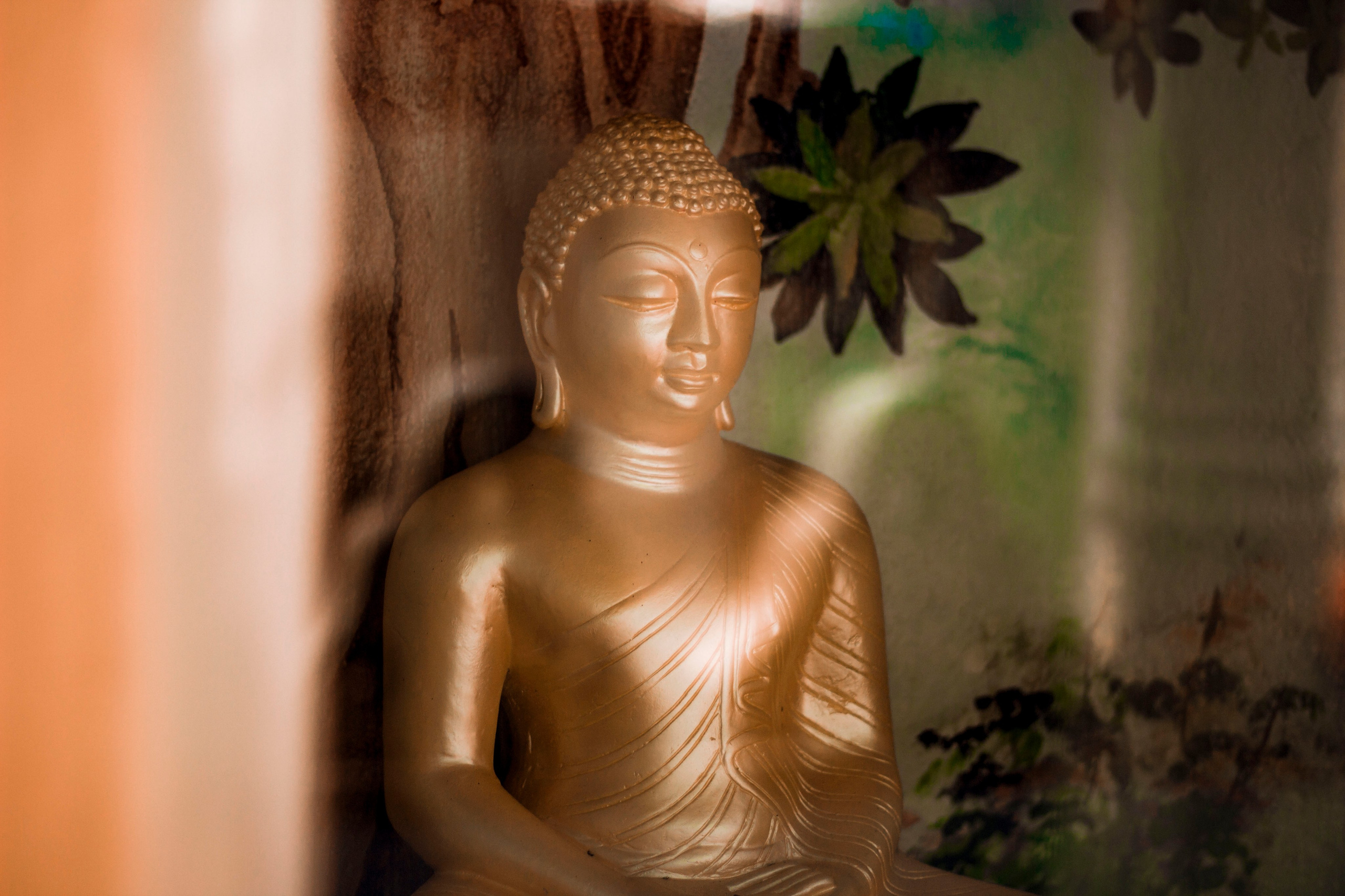 Sri Lanka. Art Photographer