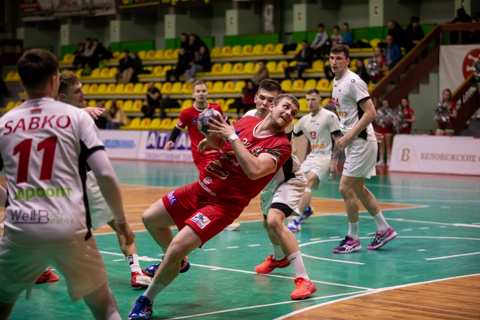 Спортивные фоторепортажи с гандбольных матчей