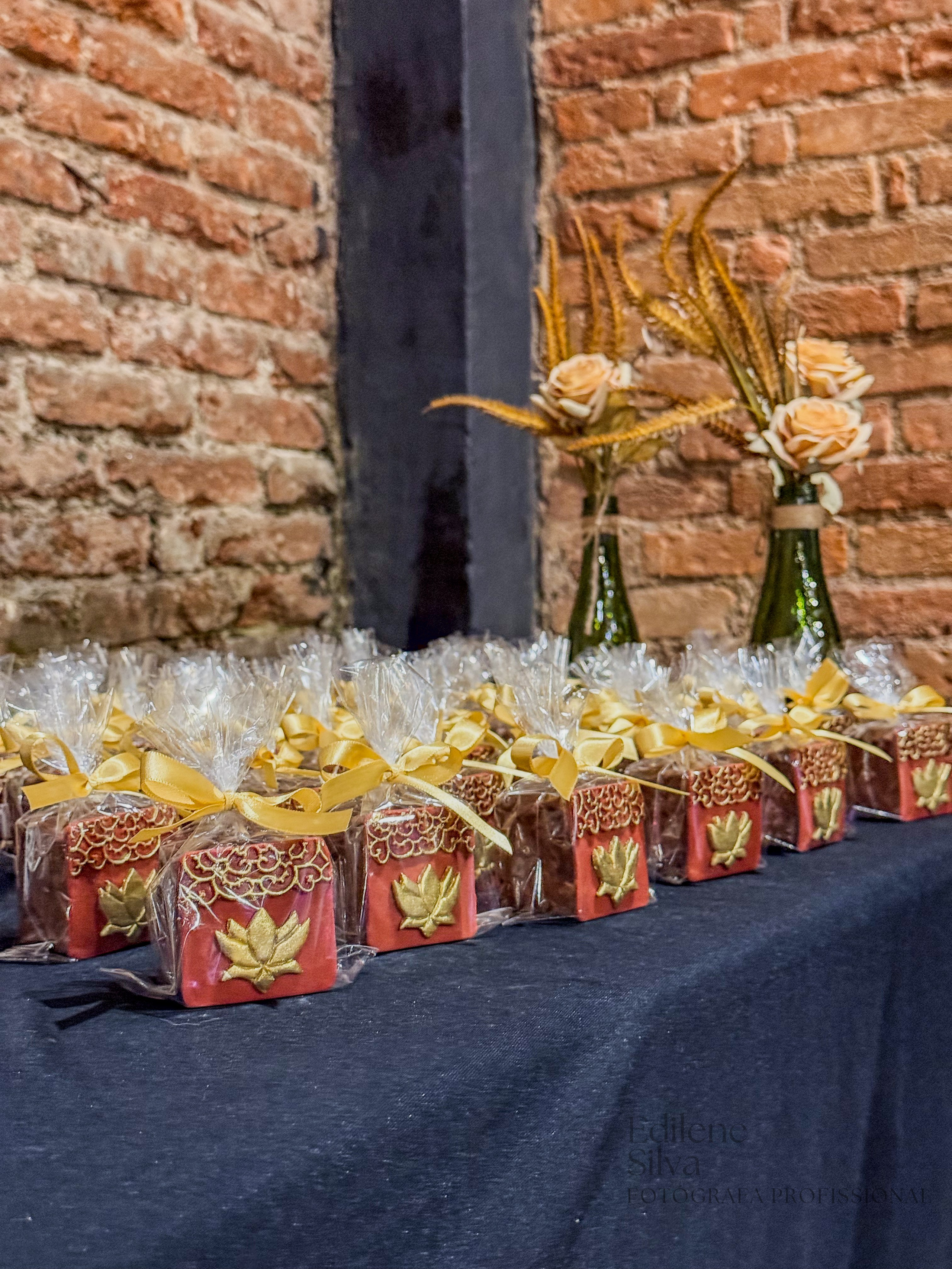 Evento Corporativo. Edilene Silva Fotografa Profissional