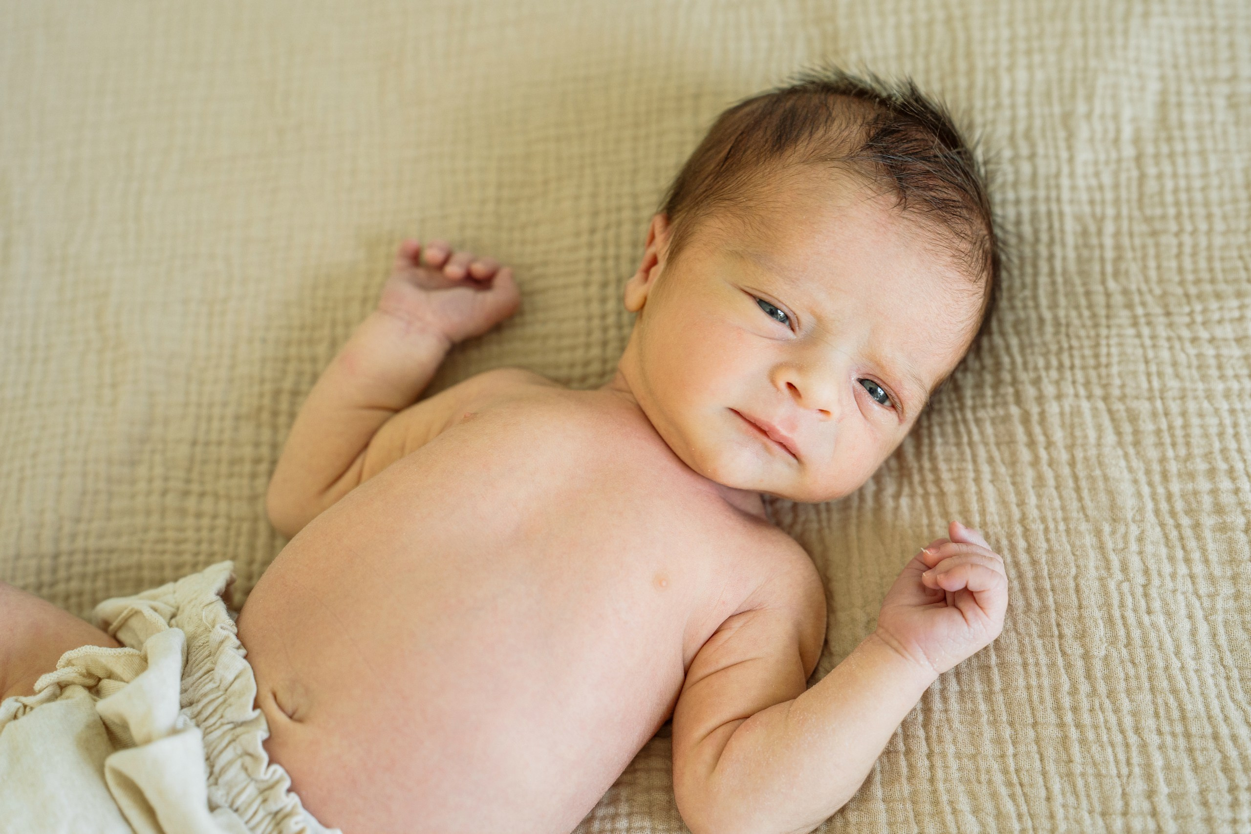 Amanda, Christopher, Christopher, Rocky. Alisa Tant — Family and newborn photographer Bucks County, Montgomery county, Philadelphia, NJ