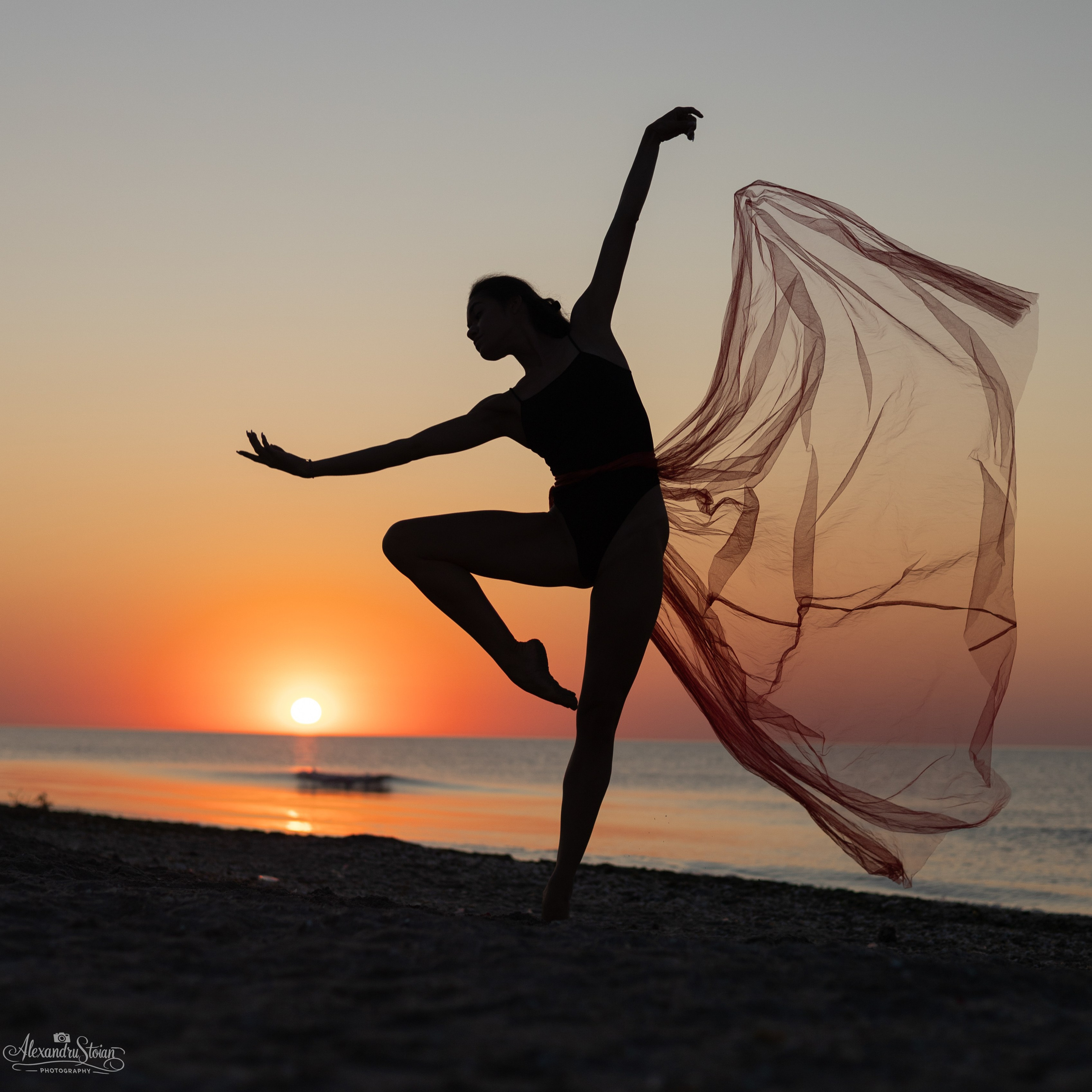 Pagina Principala. Http://www.alexphoto.ro