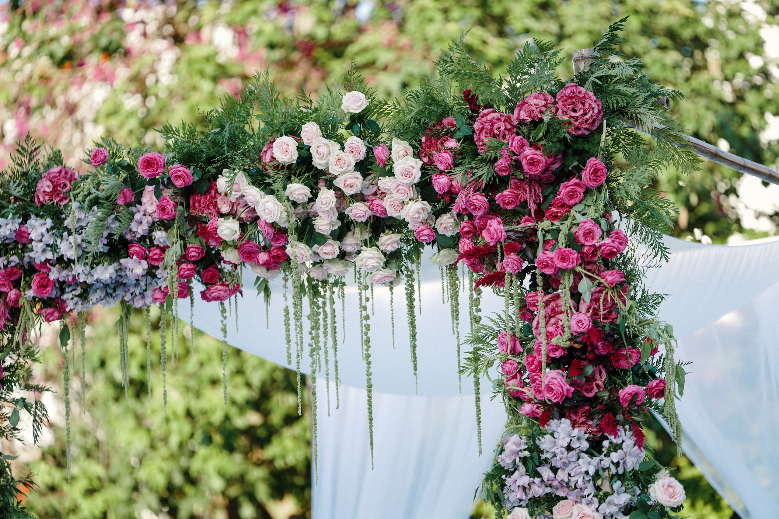 Dmitry Gorodetsky Event Photographer