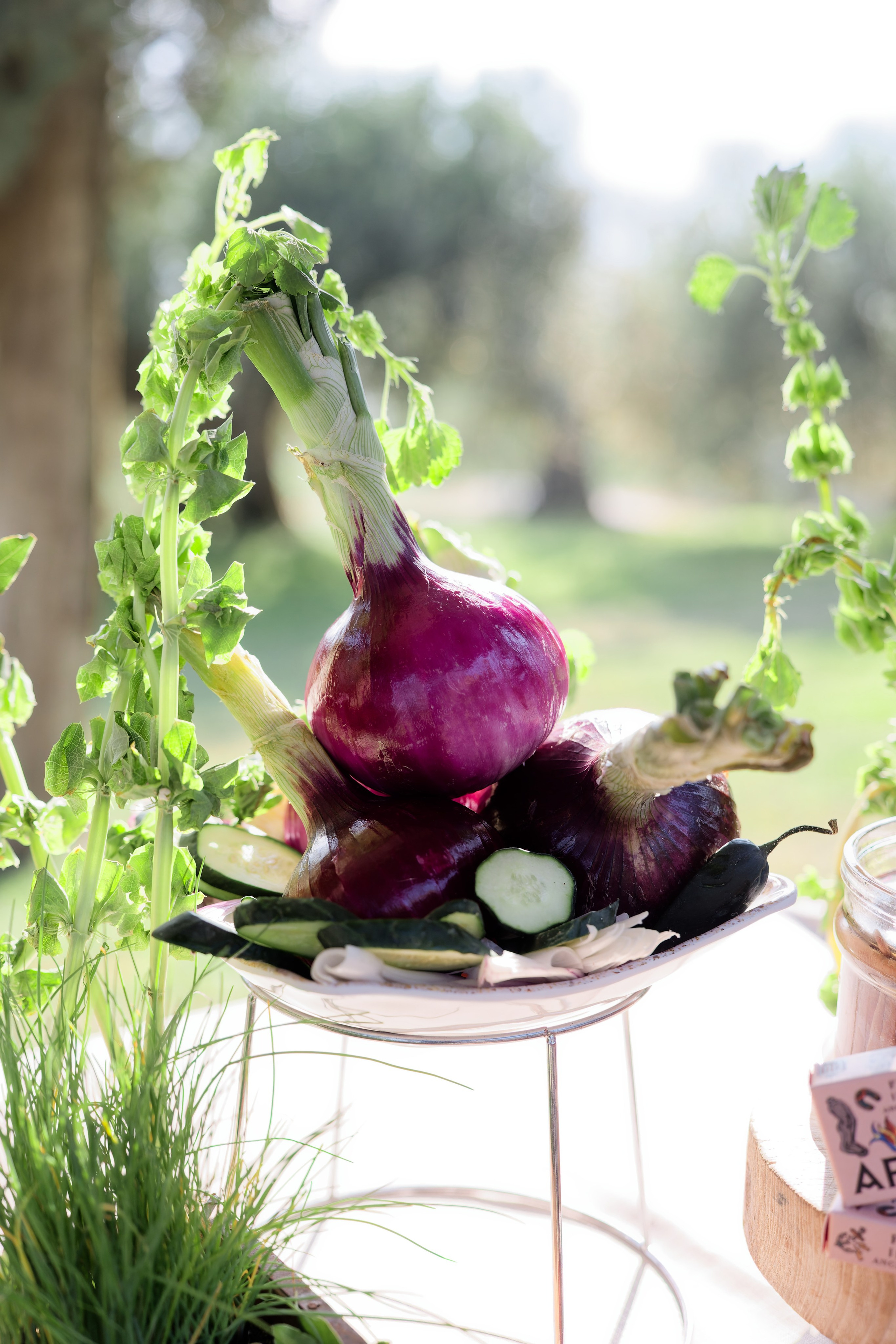 Wedding at Borgo Bastia Creti, Umbria