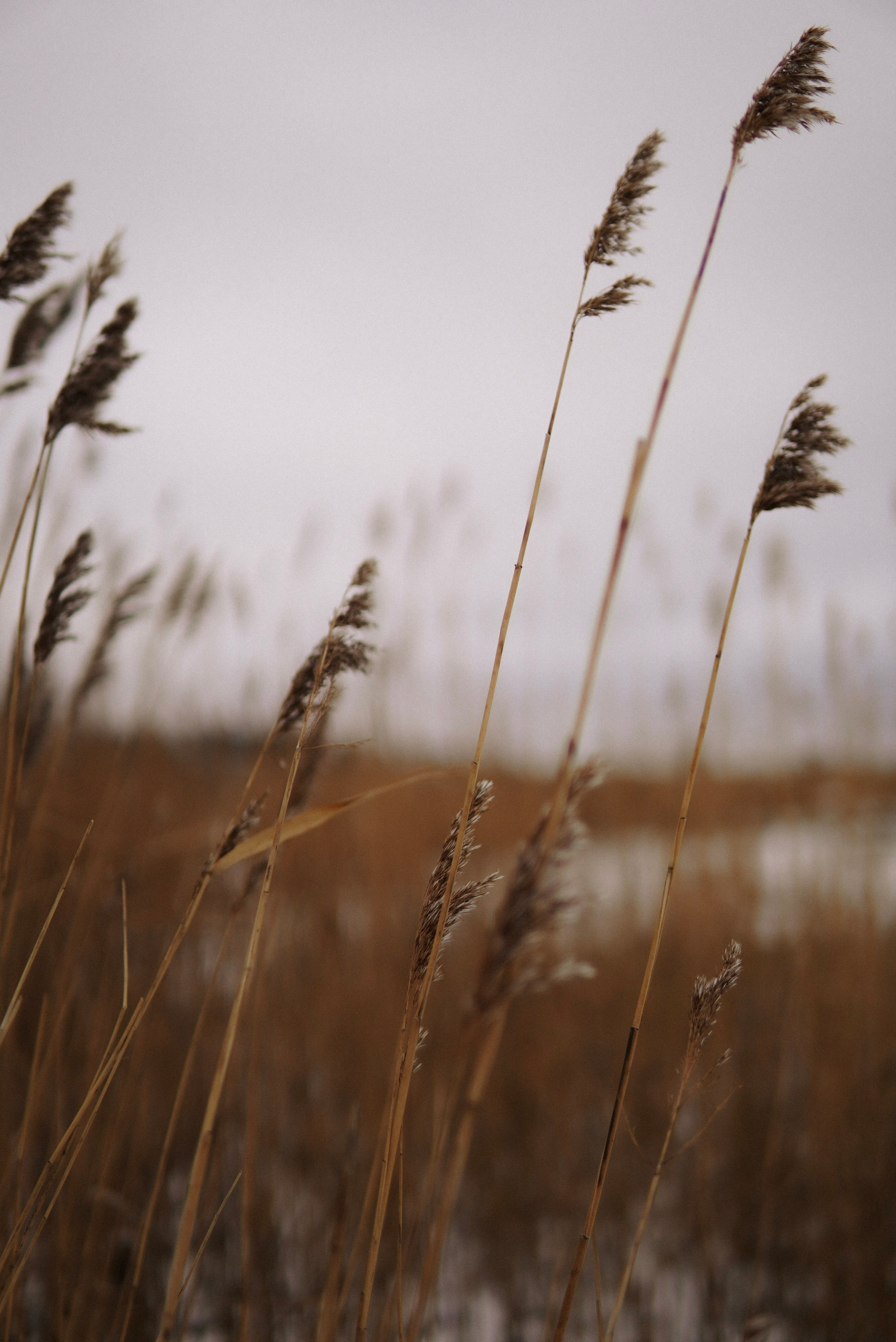 Loodus, meri, tunned. Meeste ja naiste fotograaf Tallinnas Anna Sipari