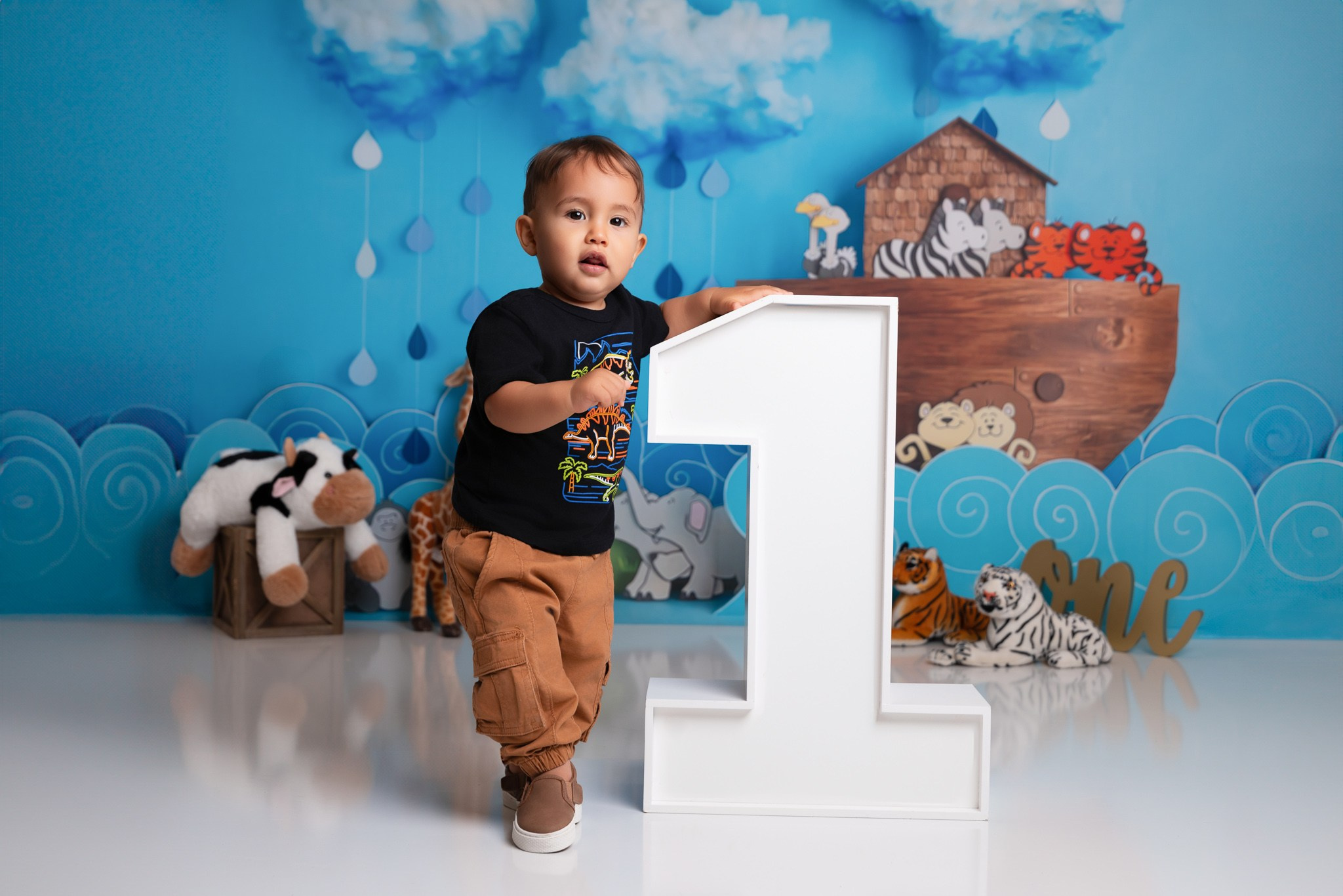 Liam 1 year old photoshoot. Professional family, maternity & newborn photographer in North Charleston, SC, creating timeless portraits