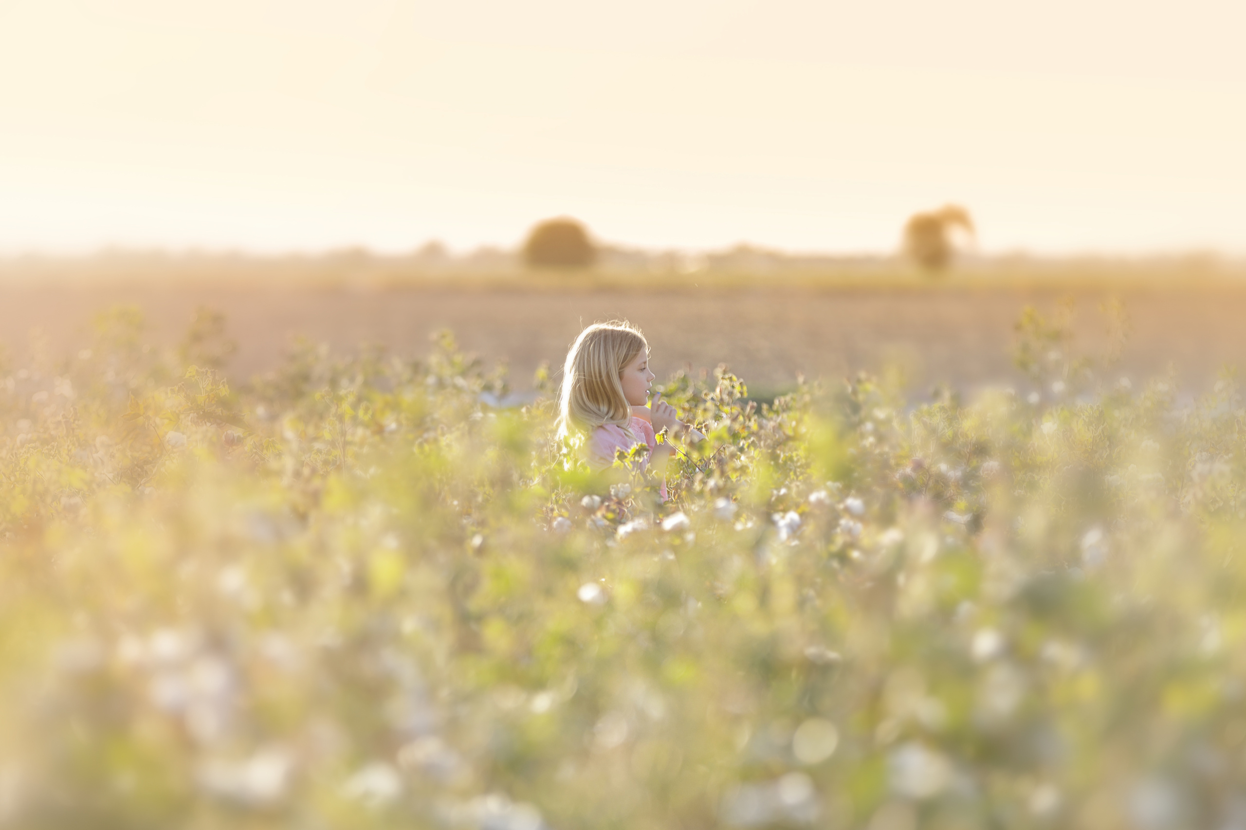 Autumn Festival Marana 2020. Anastasia Post: Wedding and Editorial Photography