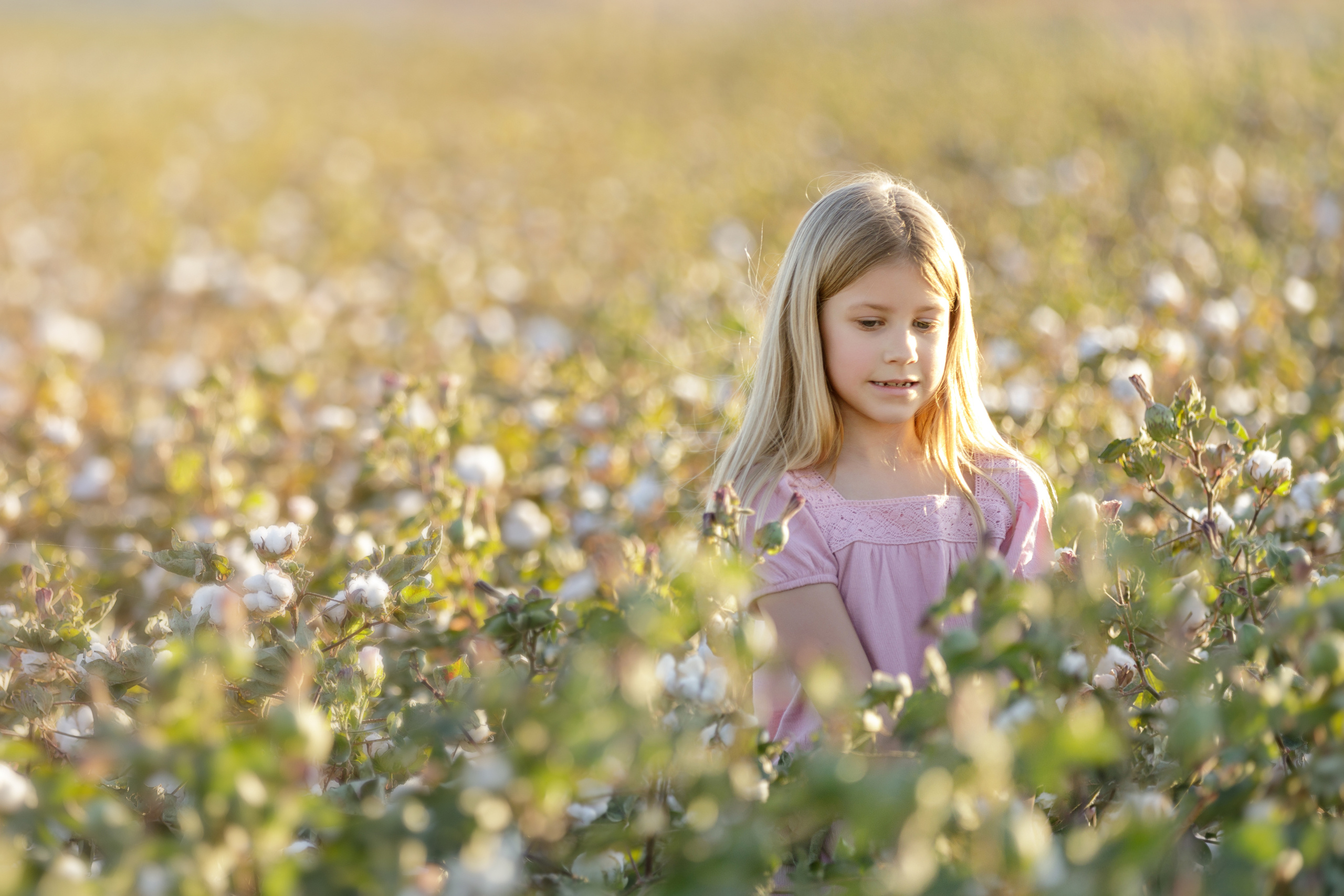 Autumn Festival Marana 2020. Anastasia Post: Wedding and Editorial Photography