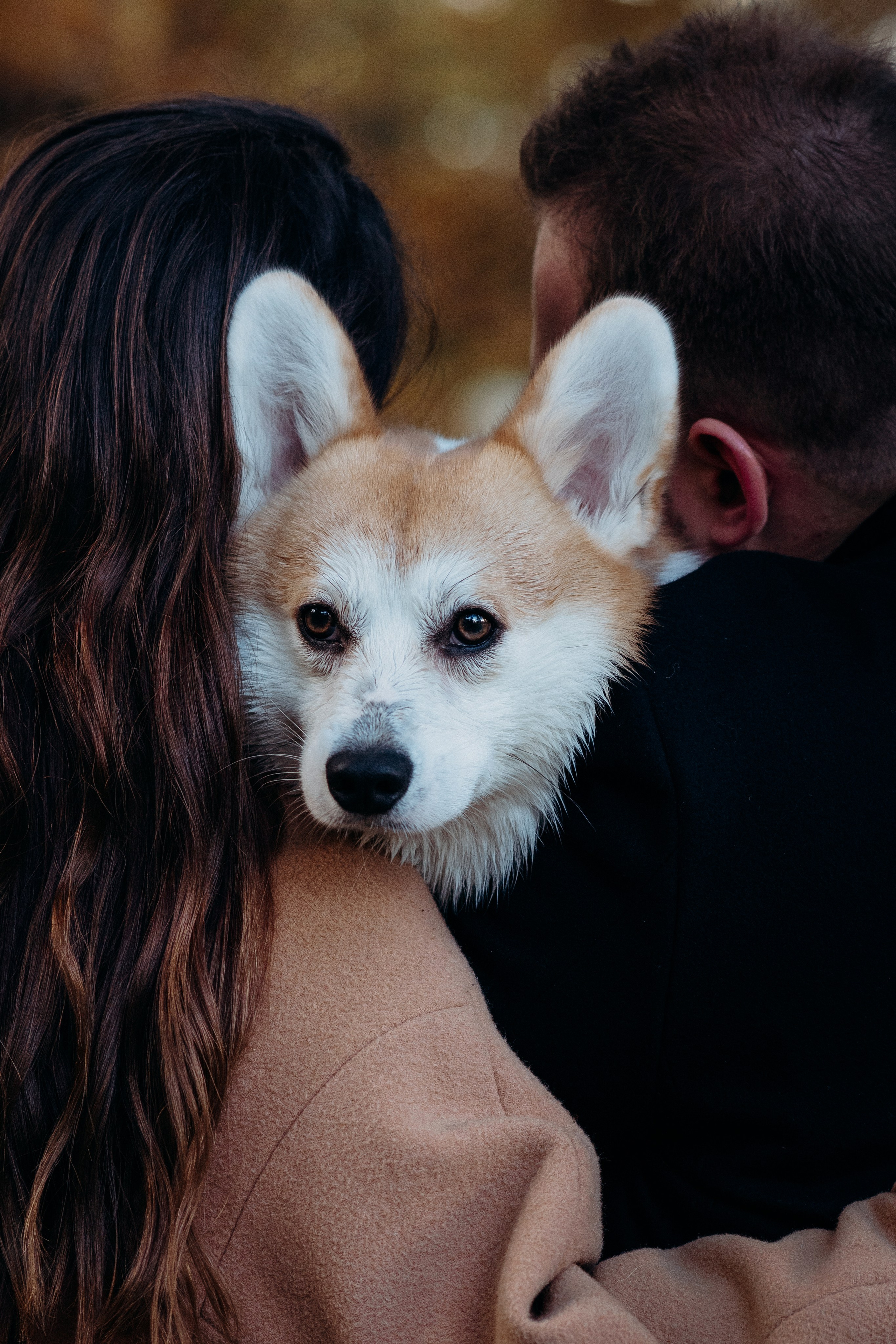 Liisa, Alexander & Marsel. Фотограф-анималист в Таллинне, Катя Лайсаар