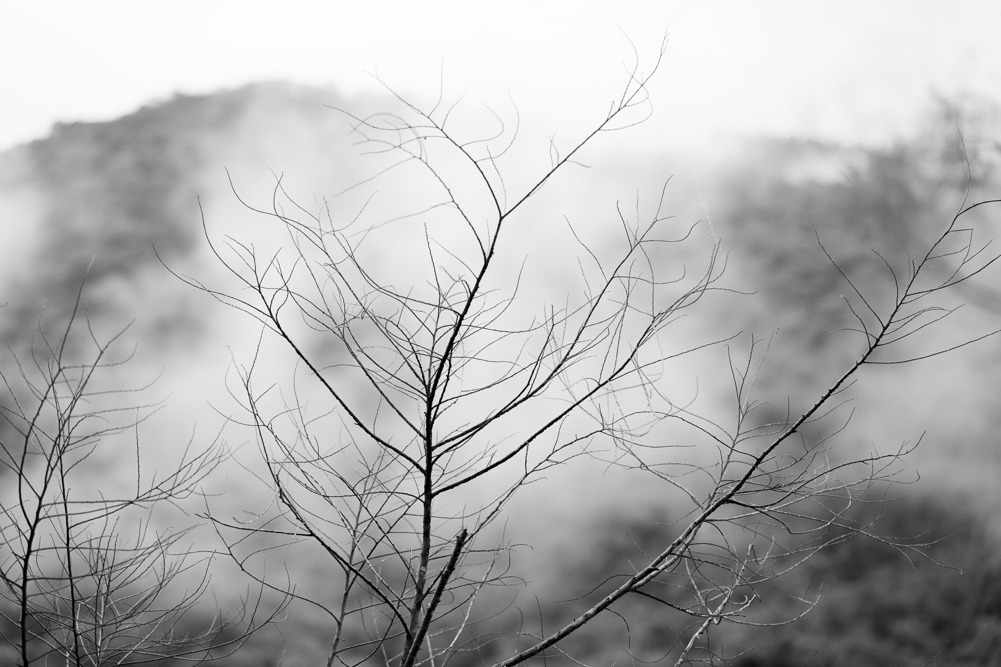 Silêncio. Fotógrafo de casamentos em Florianópolis