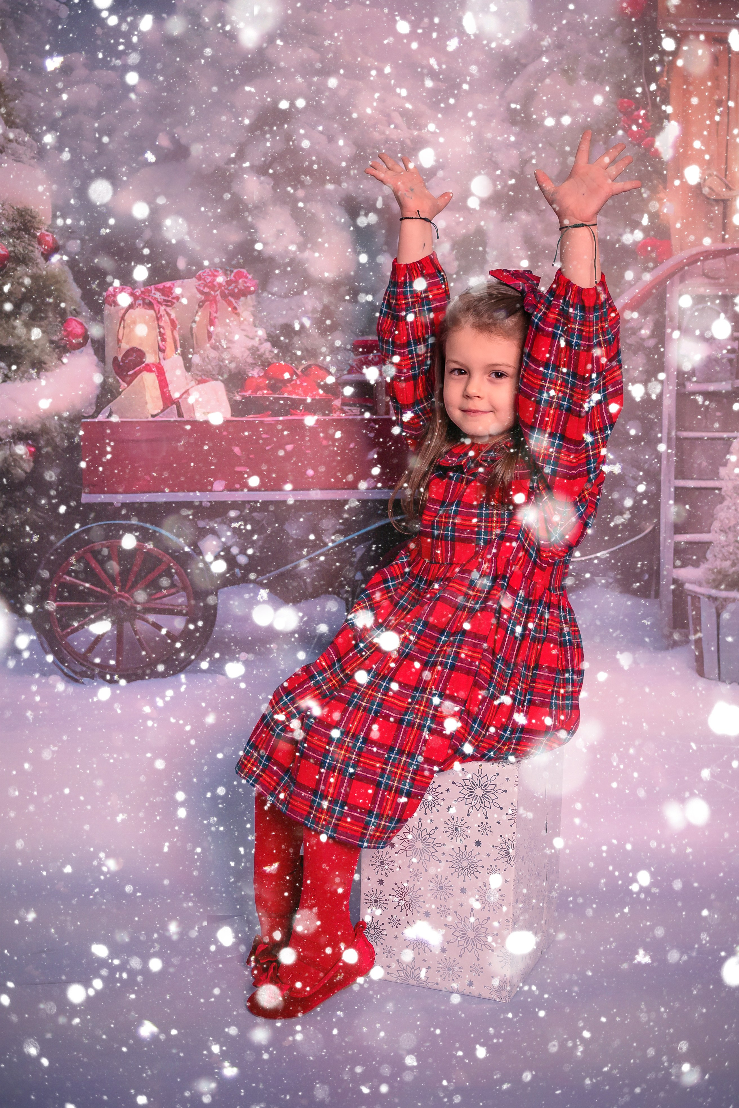 Școli și Grădinițe