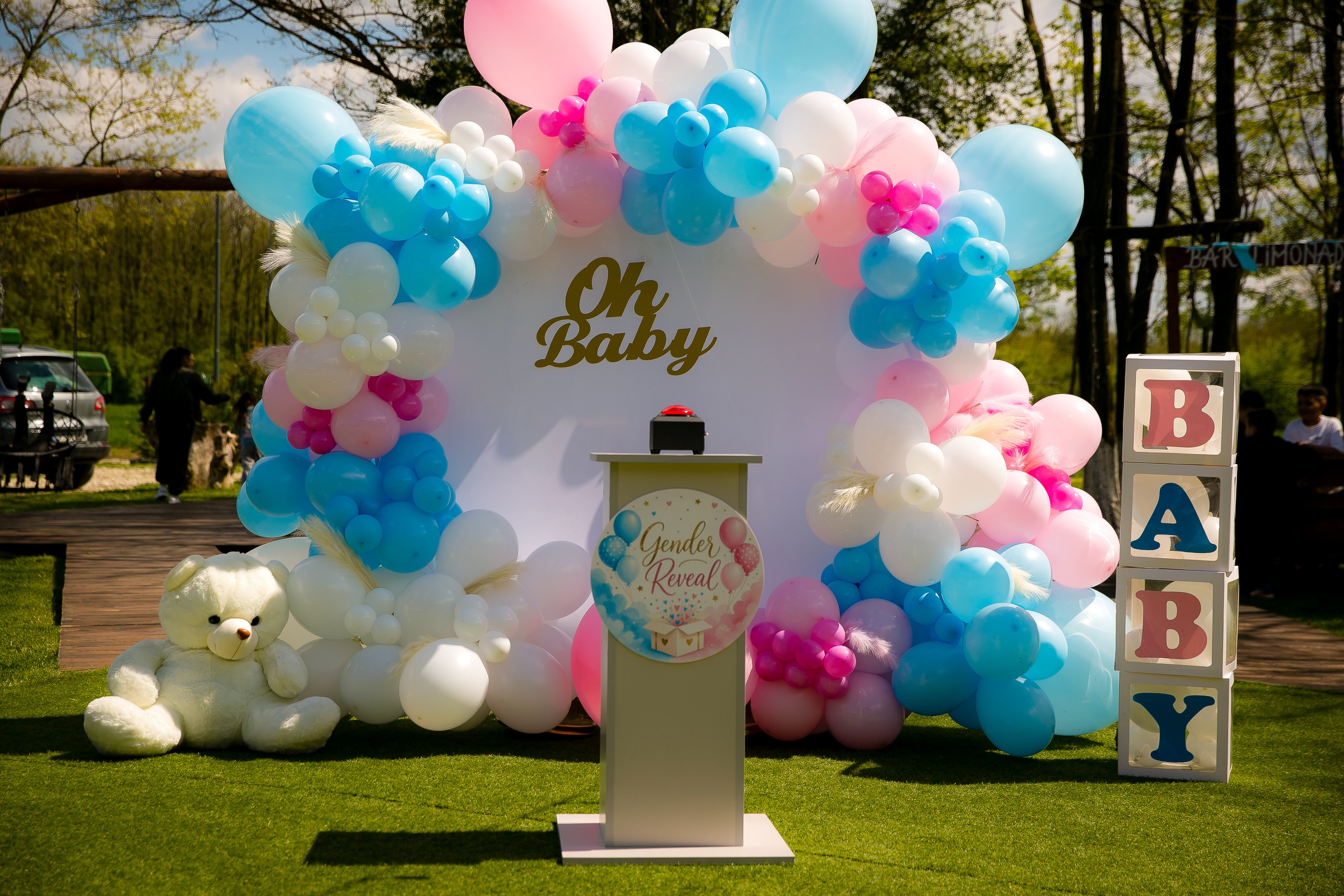C&D | Gender Reveal. DP Events — echipă foto-video din București, capturăm emoții și transformăm momentele în amintiri autentice