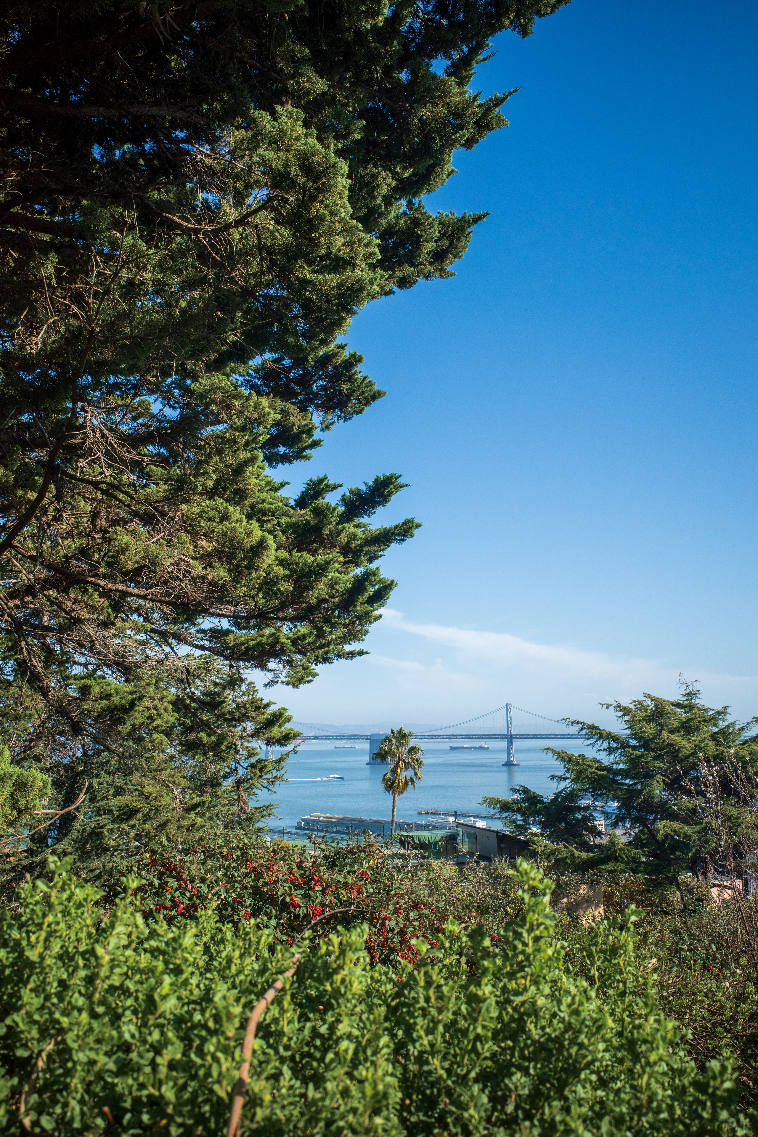 San Francisco. Aleks.photo | Book a photoshoot