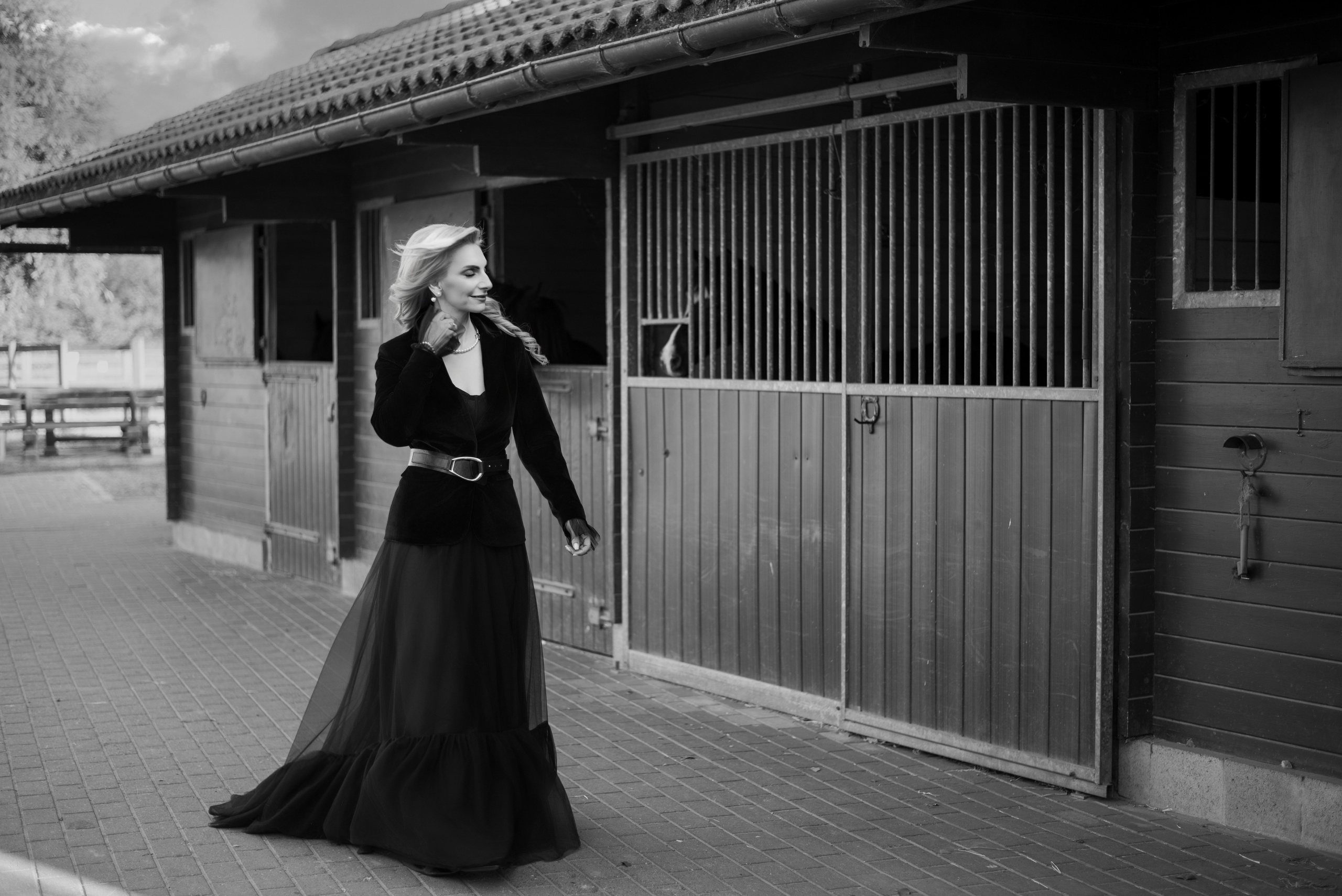 Photoshoot with Horses. Professional Photograher, Antwerpen/Belgium