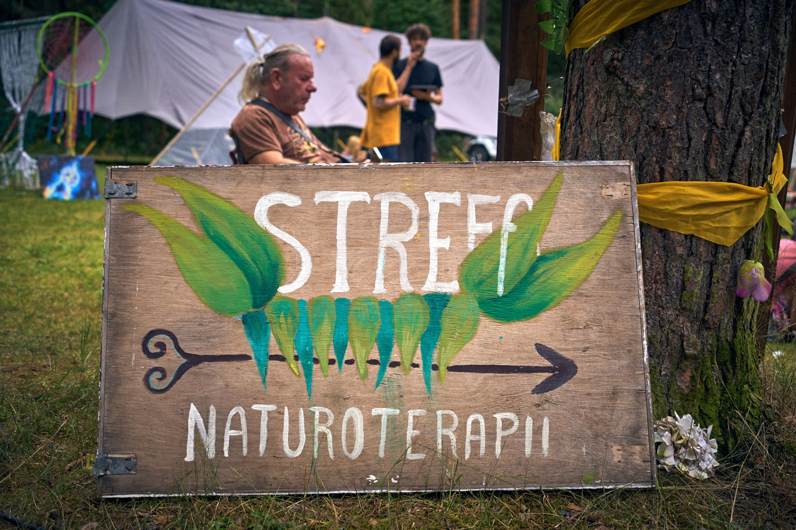 Organic Festival 2024. Андрей Шипилов — Фотография & Видеография