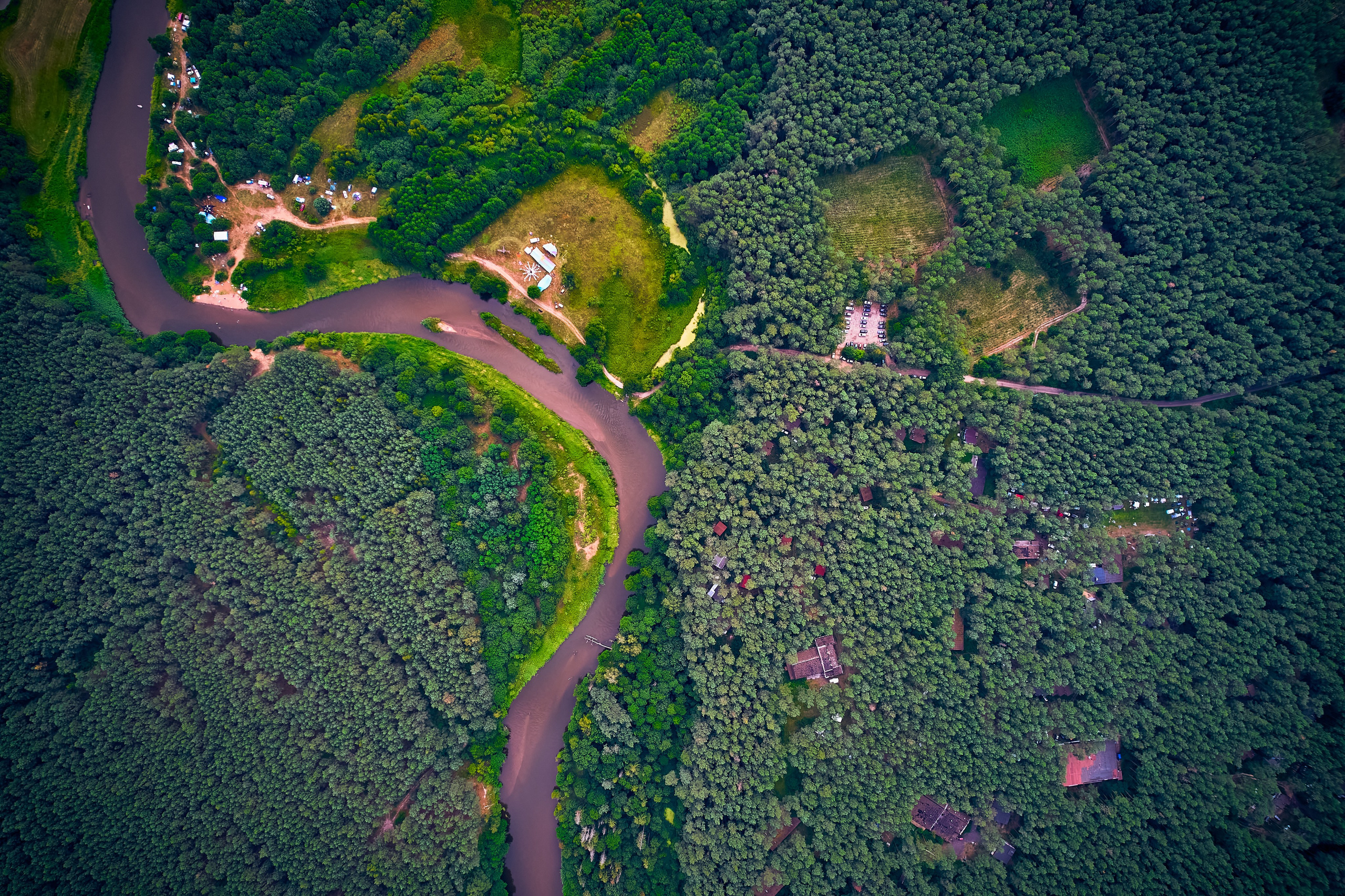 Organic Festival 2024. Андрей Шипилов — Фотография & Видеография