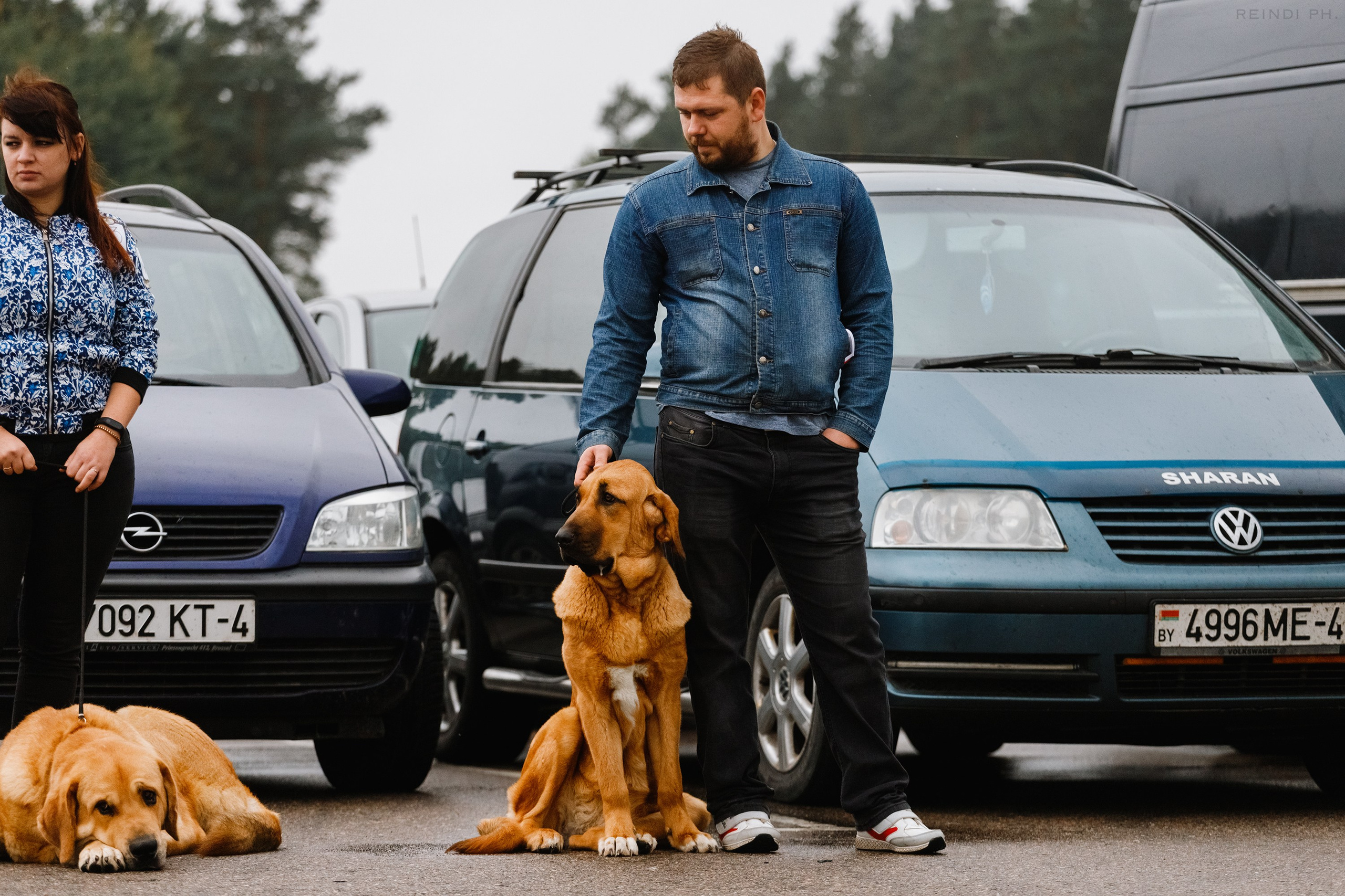 Rainy dog show in Grodno. Kaja | fotograf we Wrocławiu | ludzie i psy