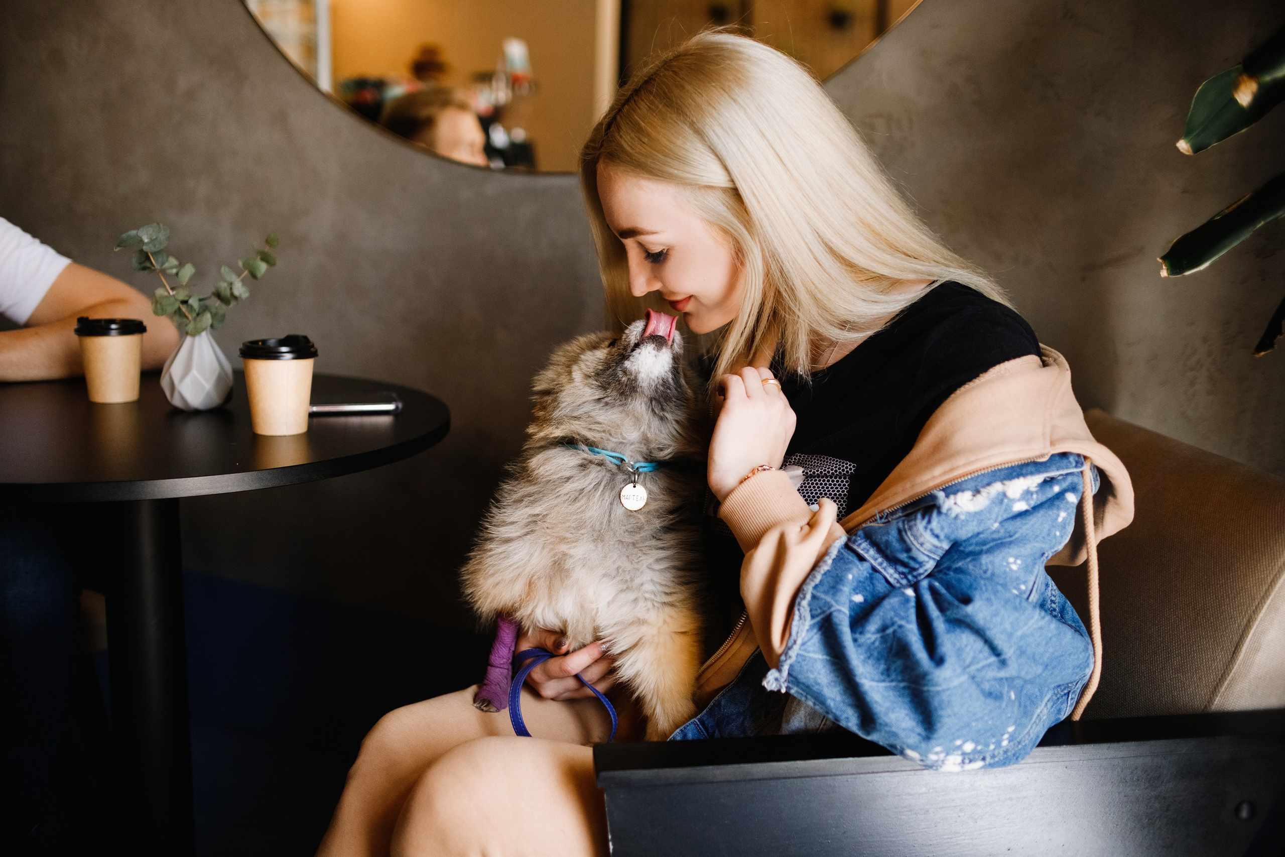 Dog trainer blog content. Kaja | fotograf we Wrocławiu | ludzie i psy