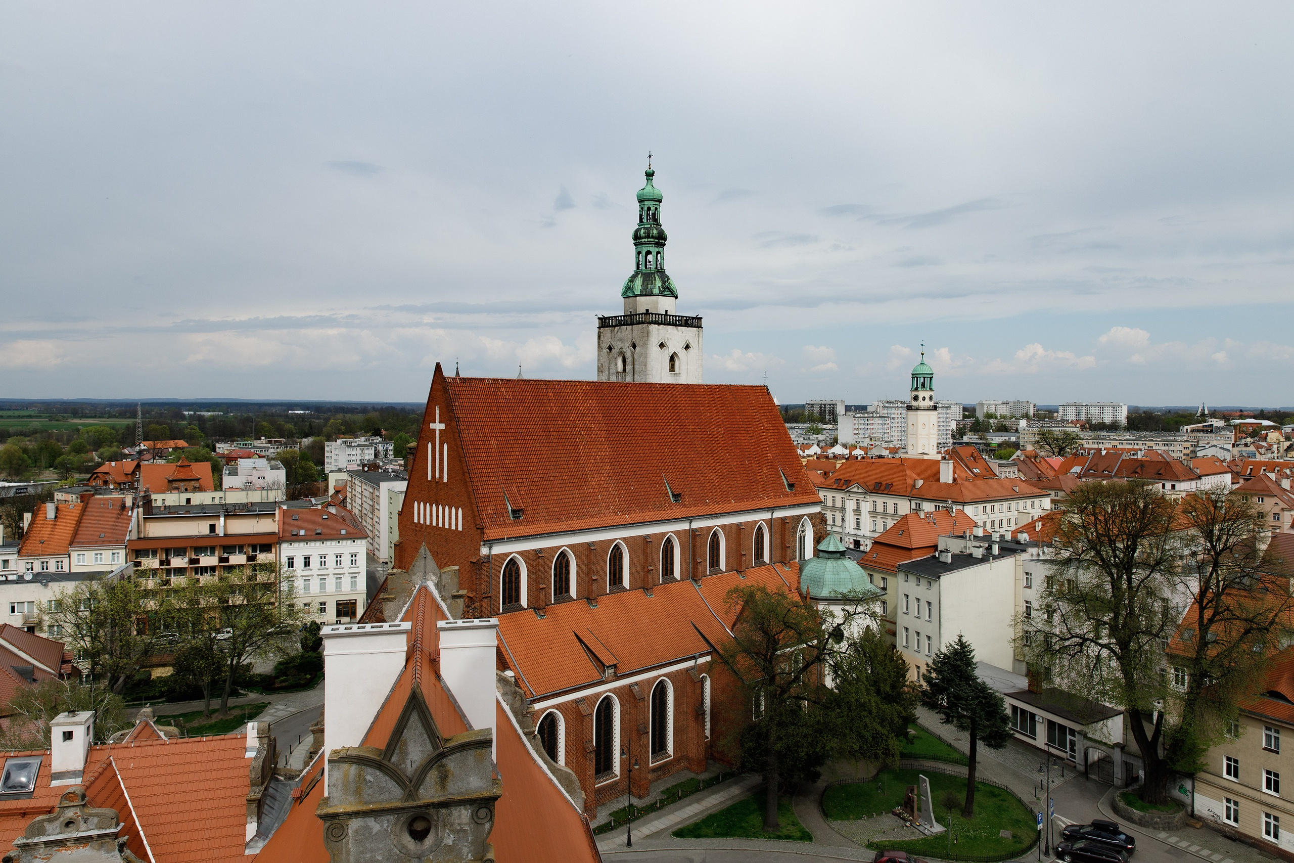 Oleśnica castle. Kaja | fotograf psów we Wrocławiu