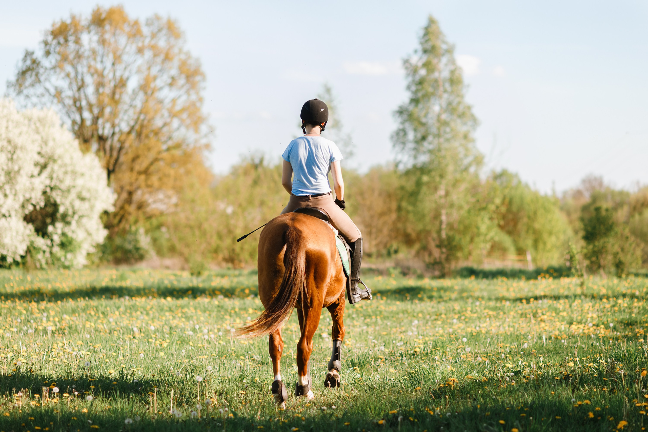 Girls & horses, summer. Kaja | fotograf psów we Wrocławiu