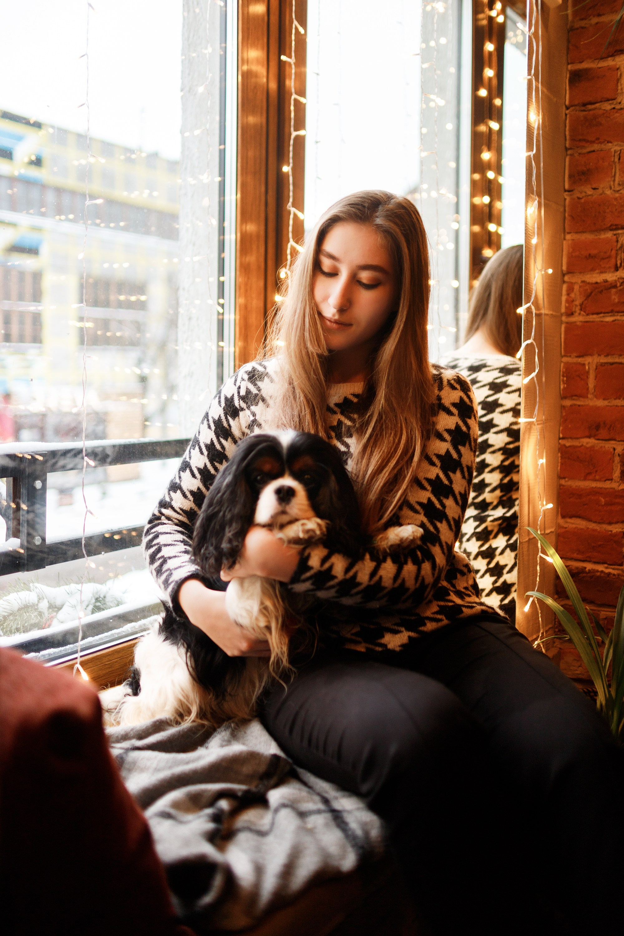 Uliana & winter spaniels. Kaja | fotograf psów we Wrocławiu