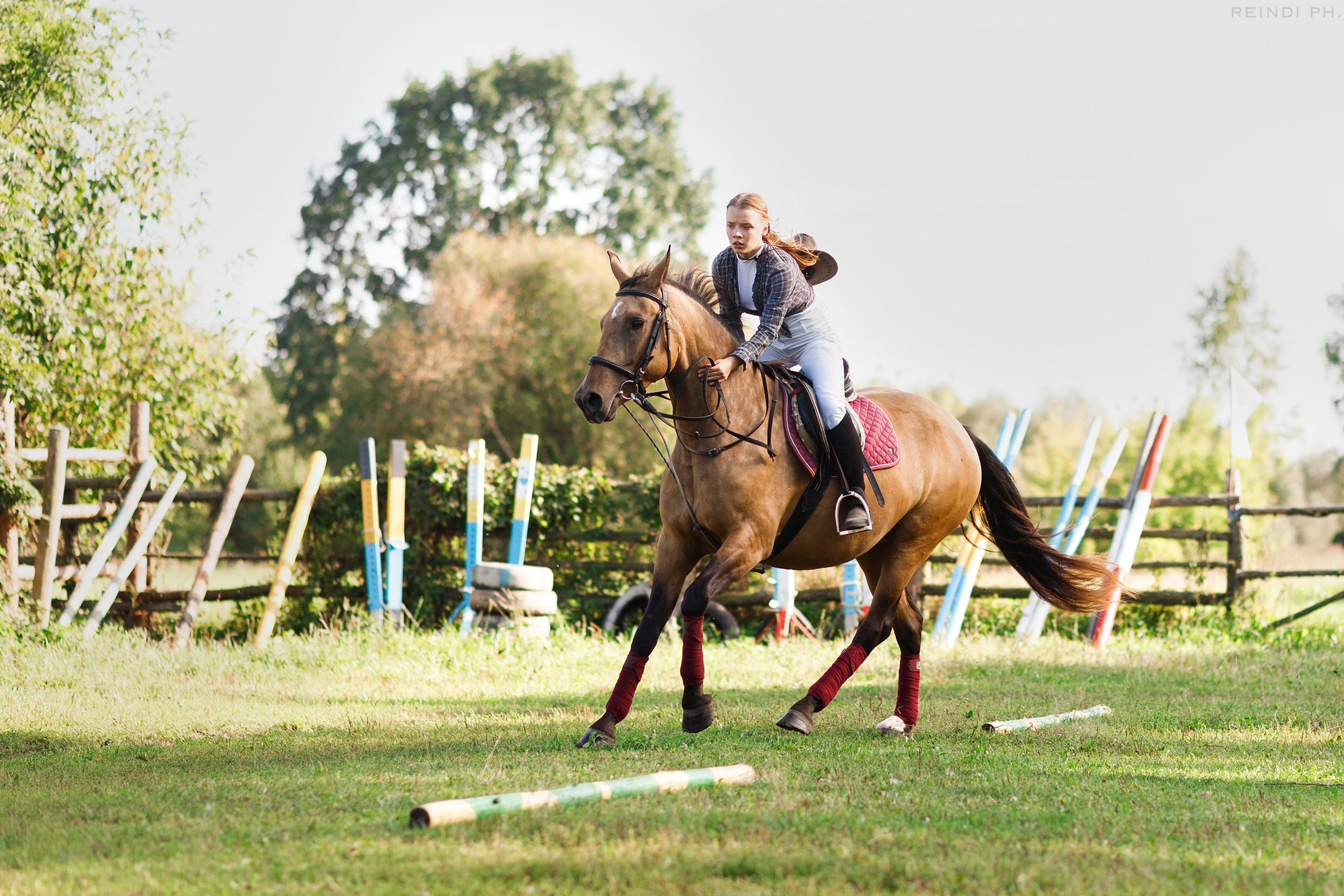 Horse show in the village. Kaja | fotograf we Wrocławiu | ludzie i psy