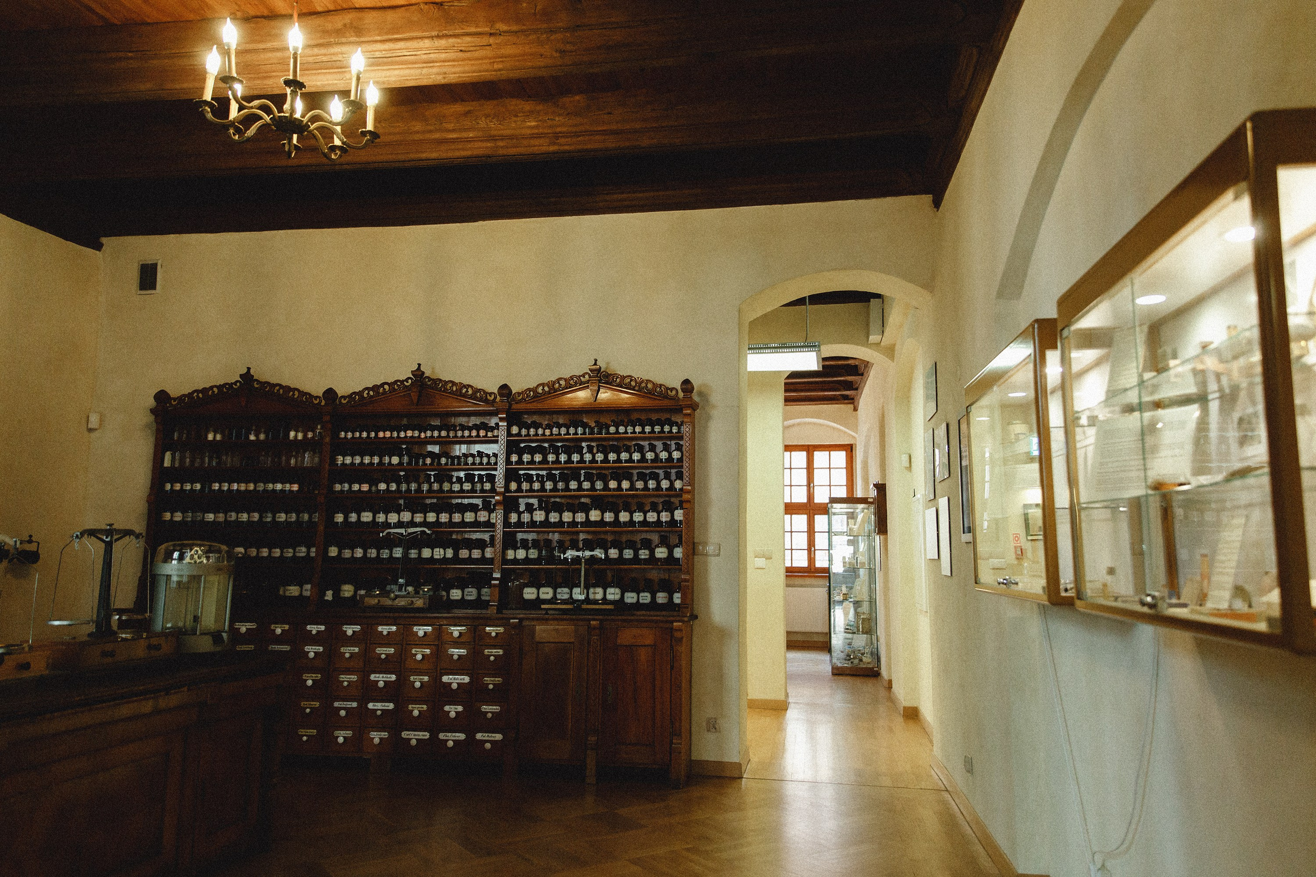 Museum of farmacy in Wroclaw. Kaja | fotograf we Wrocławiu | ludzie i psy