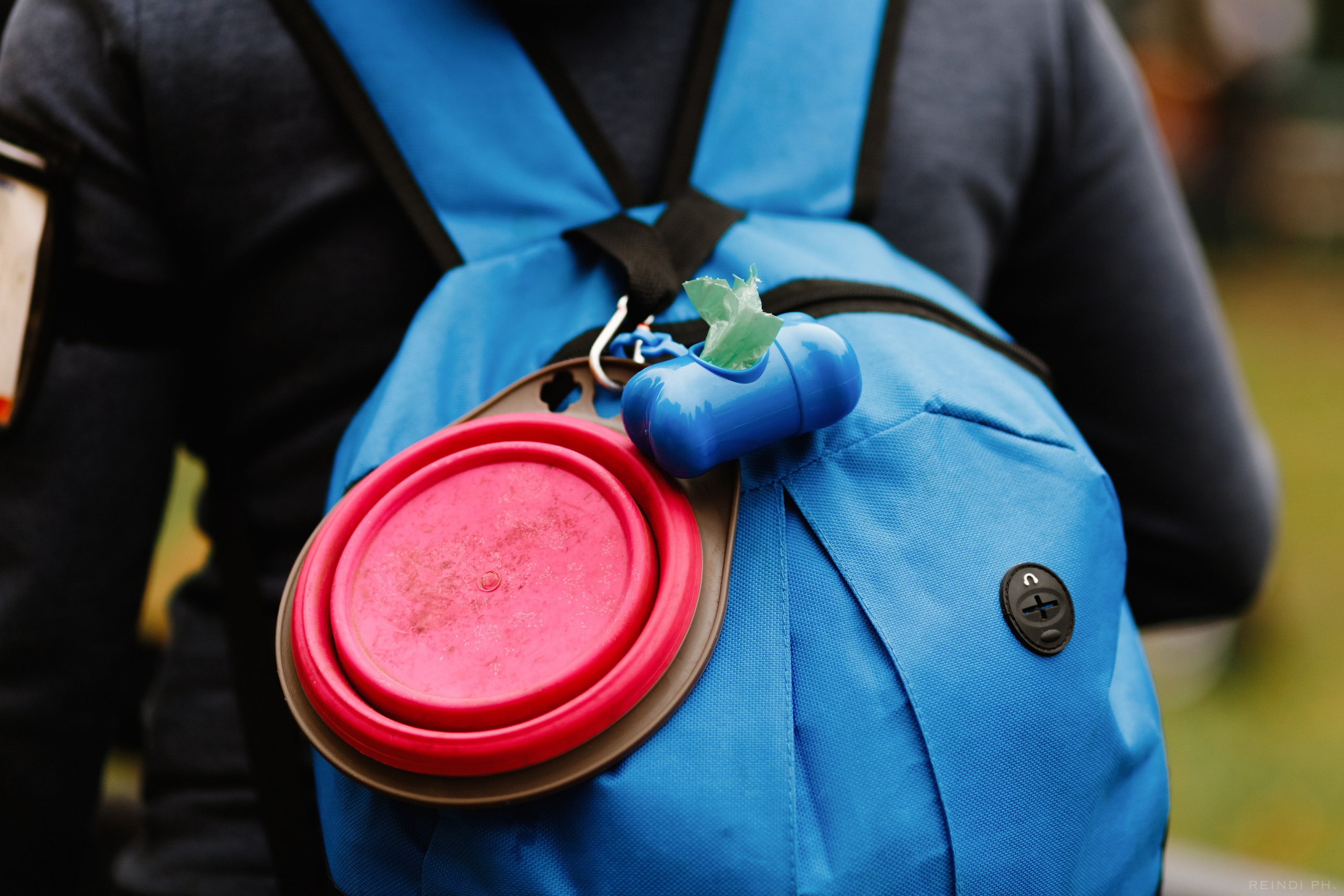 «Argus» dog show in Brest. Kaja | fotograf we Wrocławiu | ludzie i psy