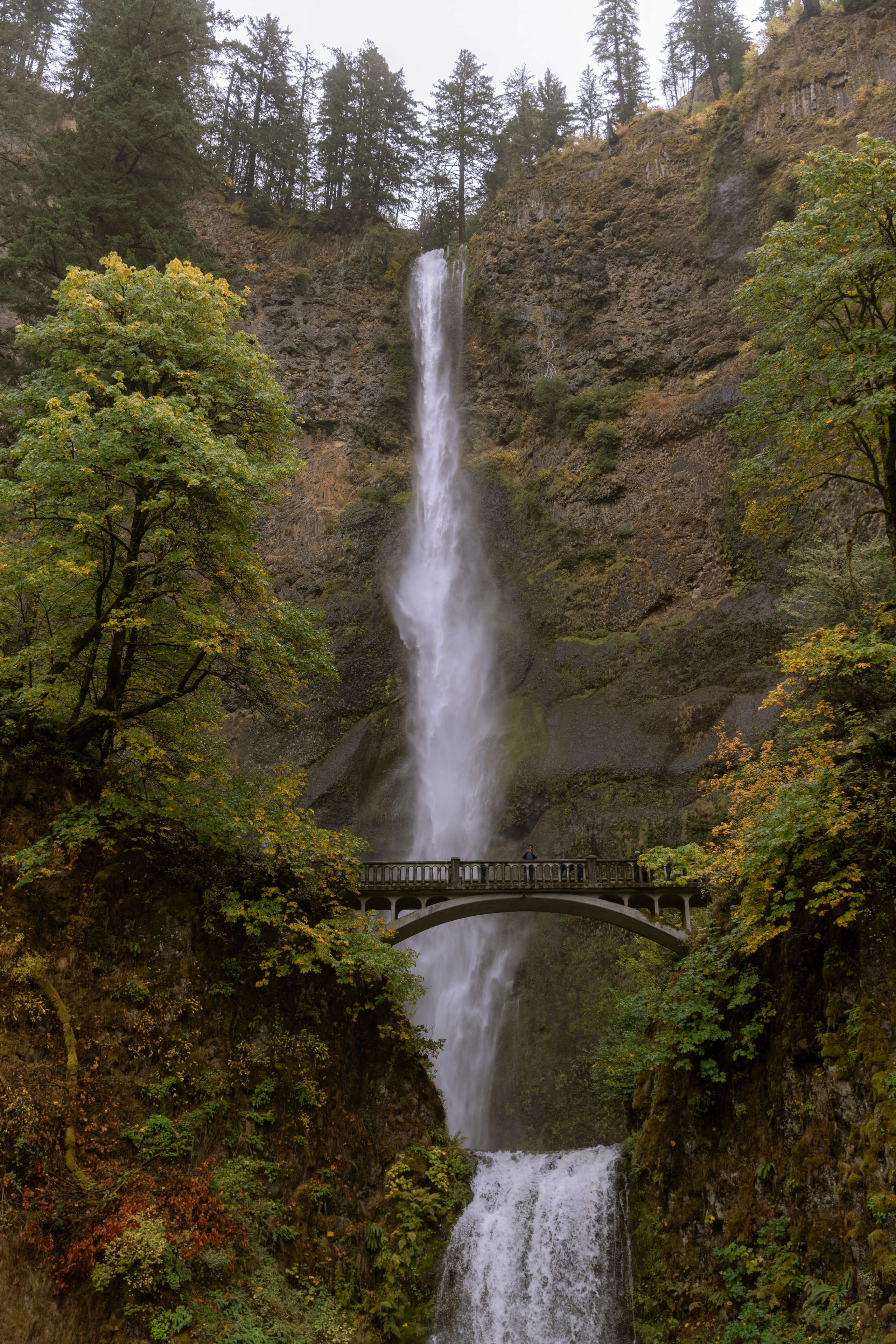 Twilight | Wallpapers. Photographer in Los Angeles. Julia Ishmuratova