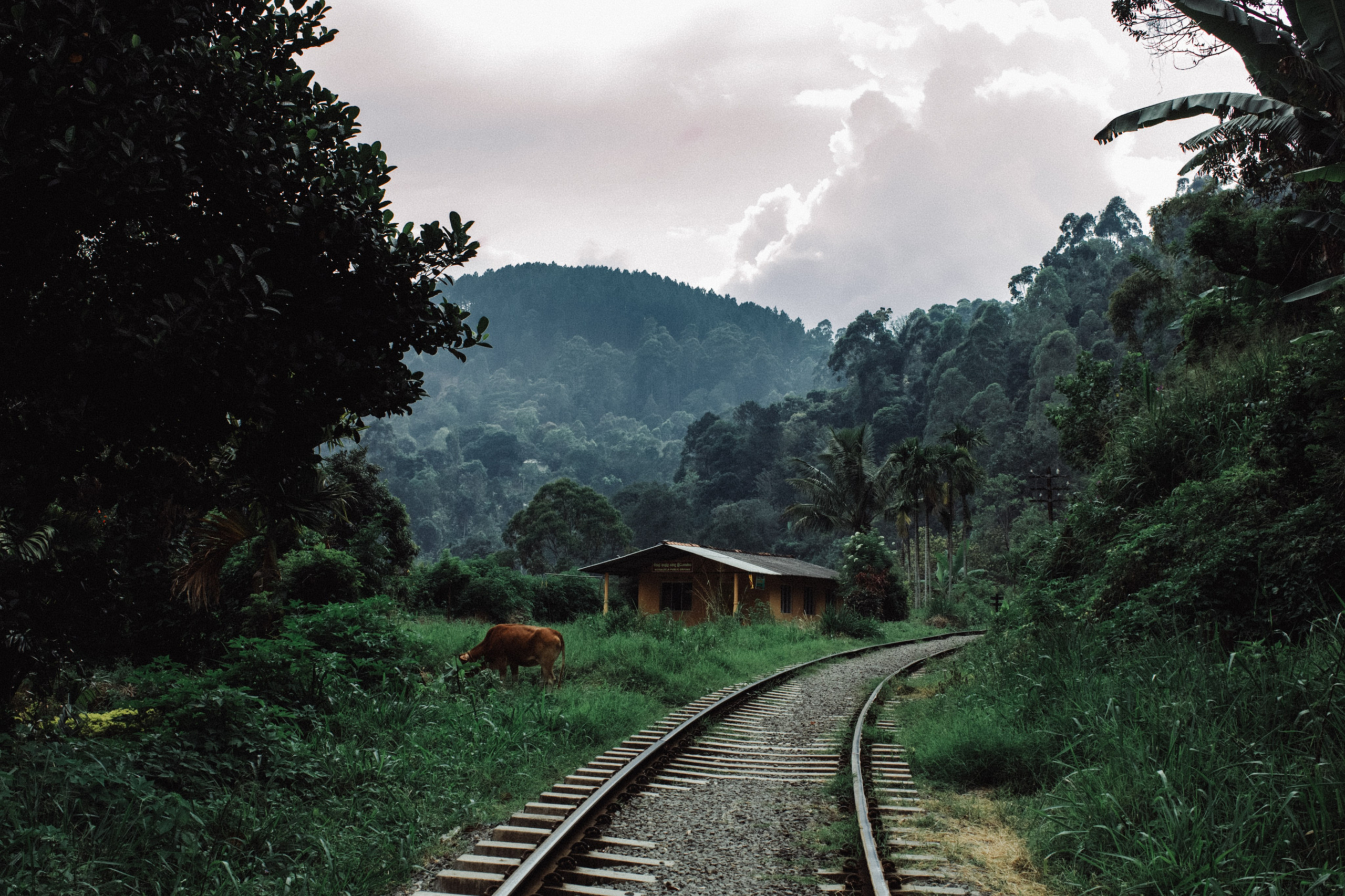 33. Фотограф Андрей Друк