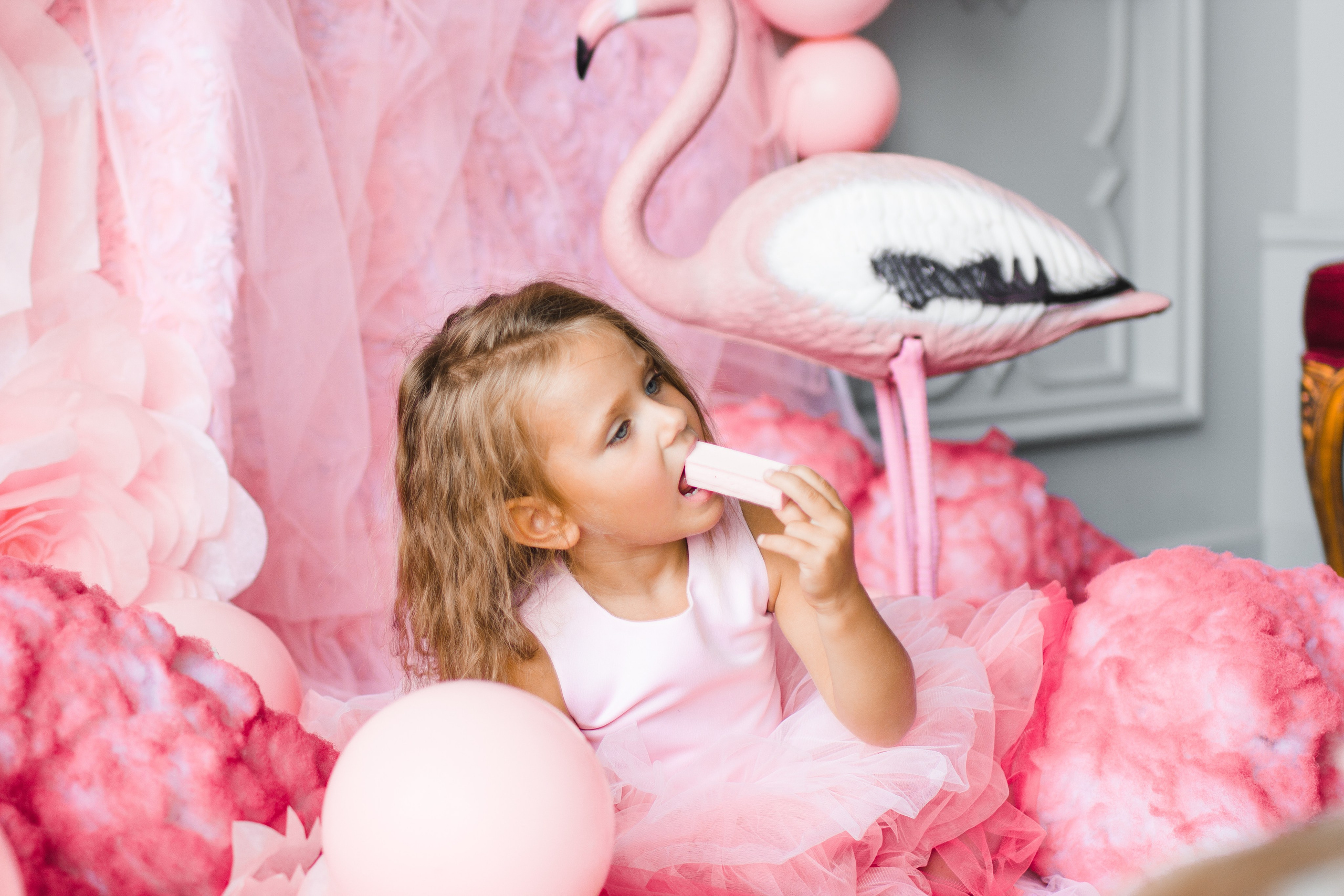 OH LA LA decoration studio. Photographer Vladmir Gladkov