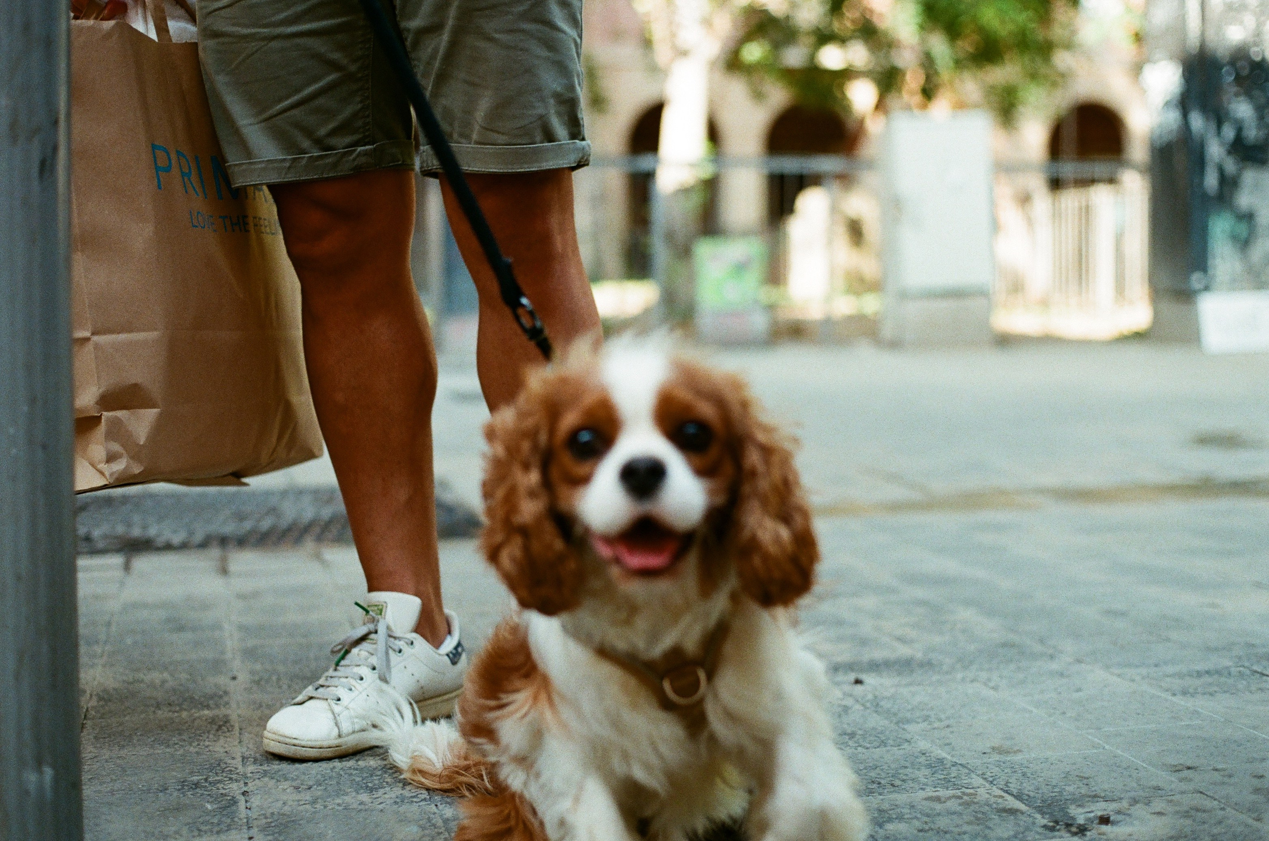 Как начать снимать на плёнку в 2026 году: мой первый опыт с Olympus OM-10 и Kodak UltraMax 400. Весільний і портретний фотограф у Барселоні та Батумі | Валерія Азаренко