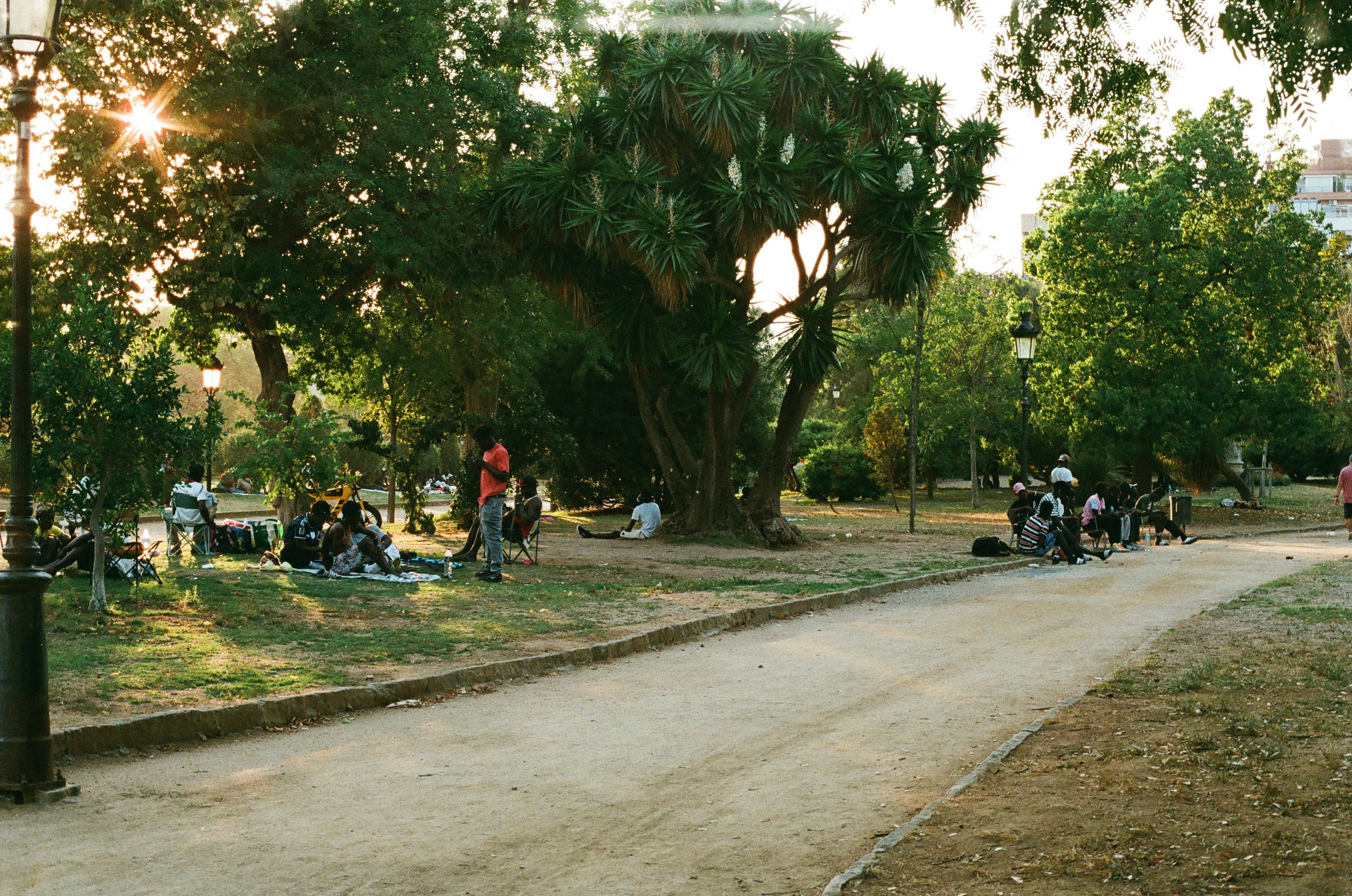 Как начать снимать на плёнку в 2026 году: мой первый опыт с Olympus OM-10 и Kodak UltraMax 400. Весільний і портретний фотограф у Барселоні та Батумі | Валерія Азаренко