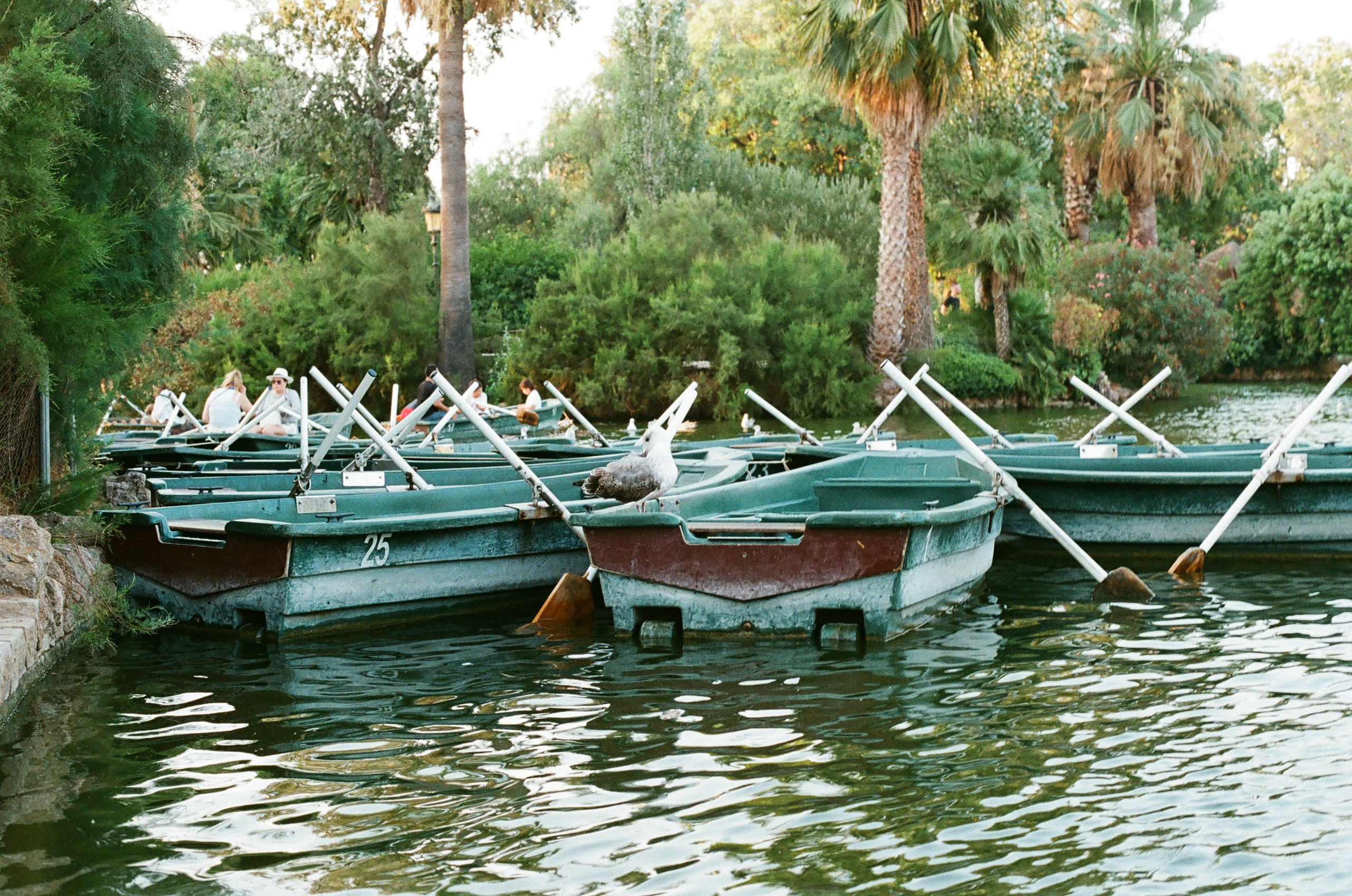 Как начать снимать на плёнку в 2026 году: мой первый опыт с Olympus OM-10 и Kodak UltraMax 400. Весільний і портретний фотограф у Барселоні та Батумі | Валерія Азаренко