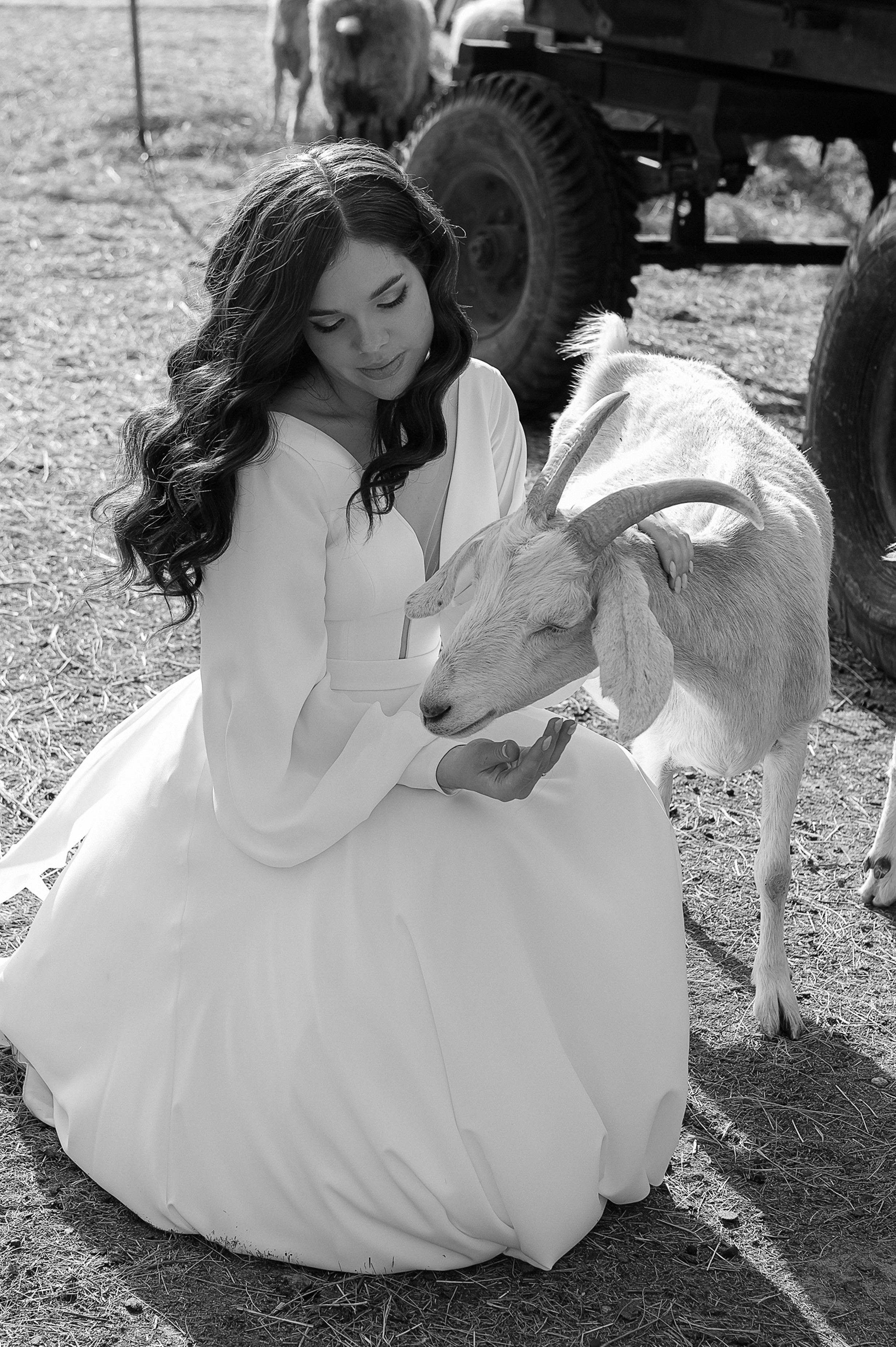 Илья и Анастасия. Свадебный и семейный фотограф Екатерина Шестакова