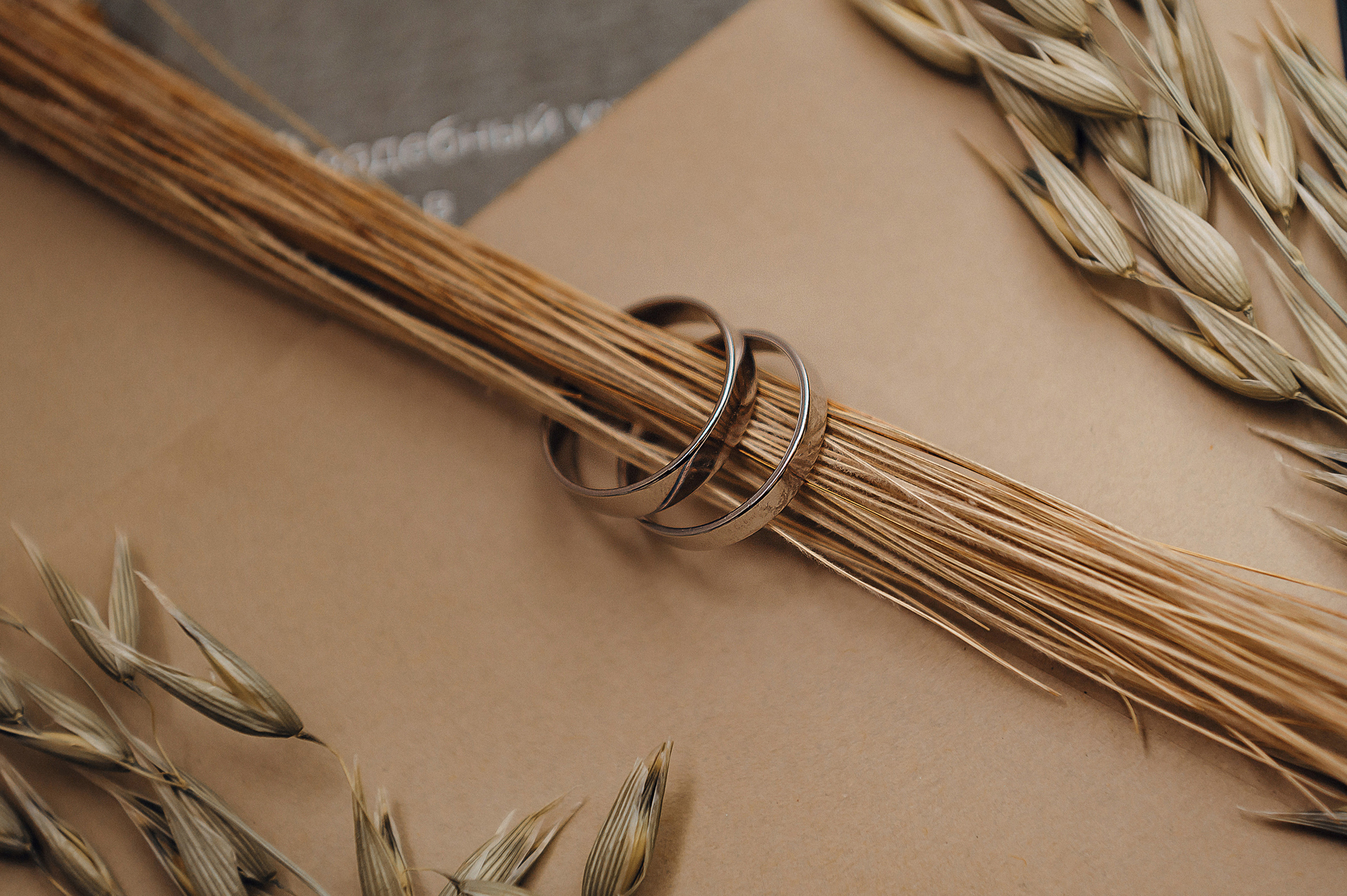 Илья и Анастасия. Свадебный и семейный фотограф Екатерина Шестакова