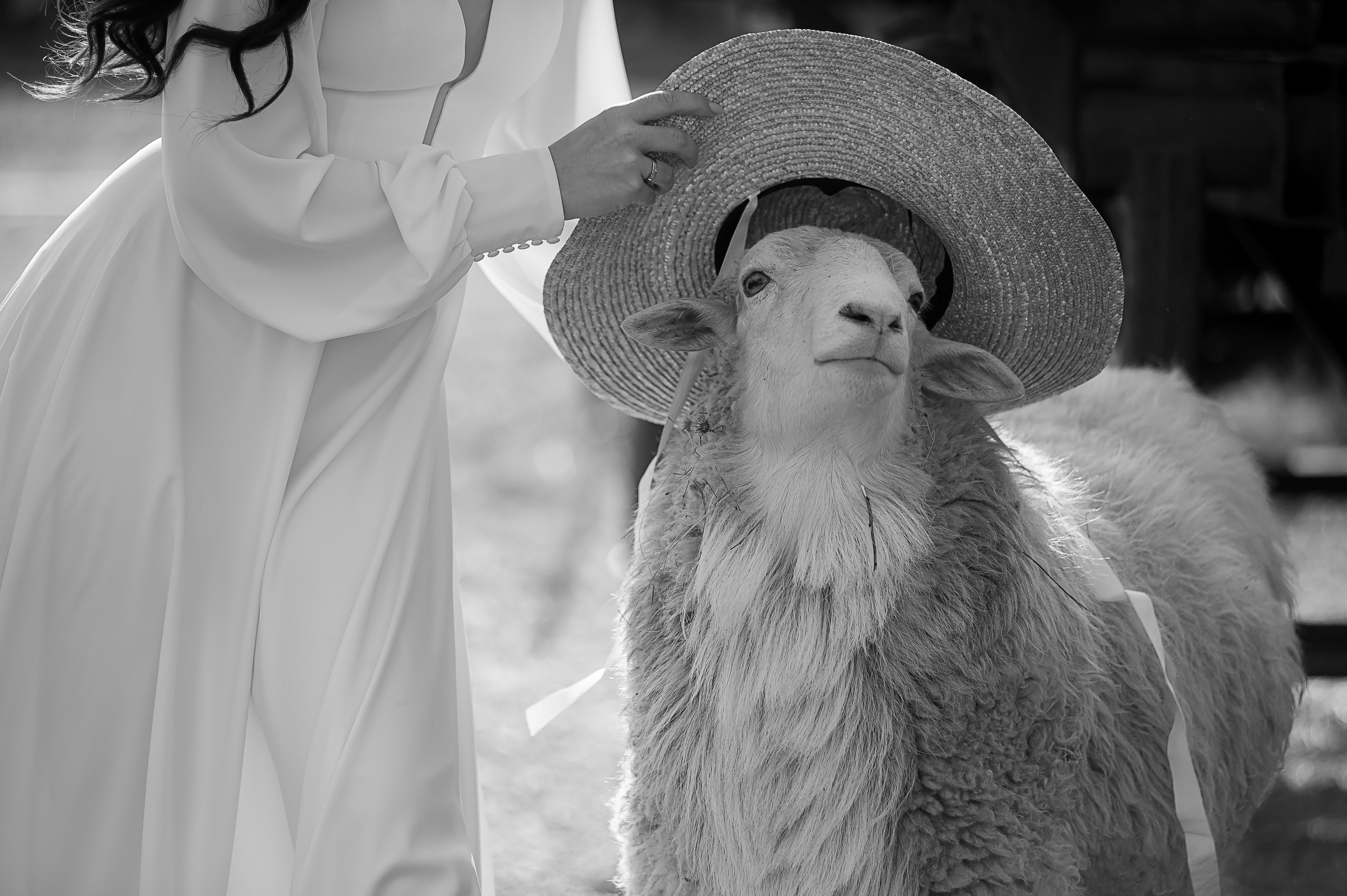 Илья и Анастасия. Свадебный и семейный фотограф Екатерина Шестакова