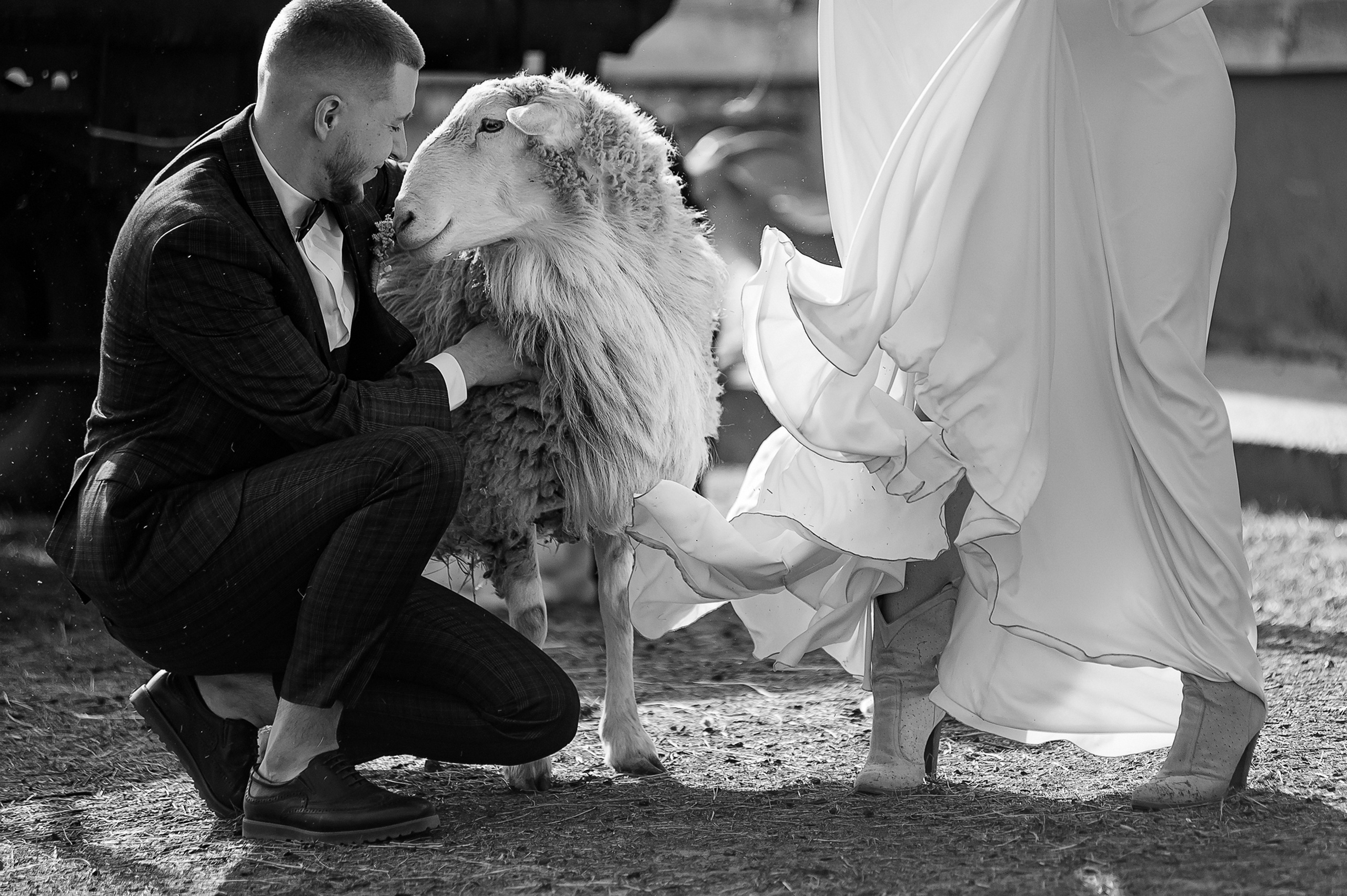 Илья и Анастасия. Свадебный и семейный фотограф Екатерина Шестакова